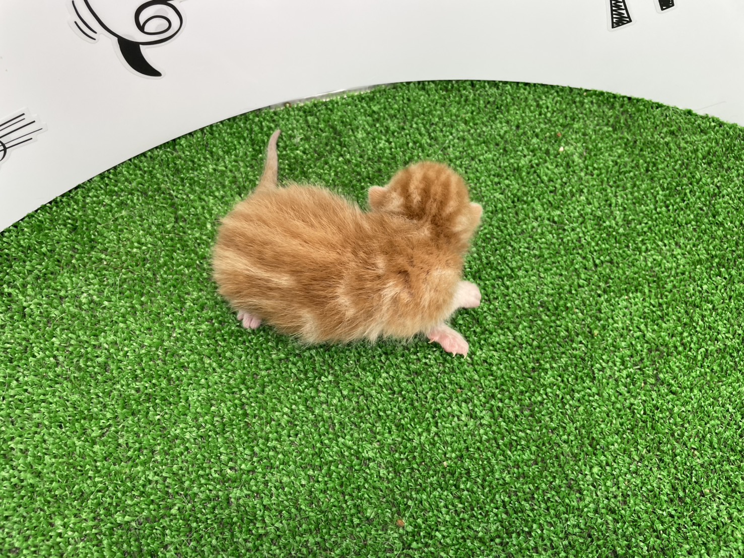 赤ちゃん写真1-3