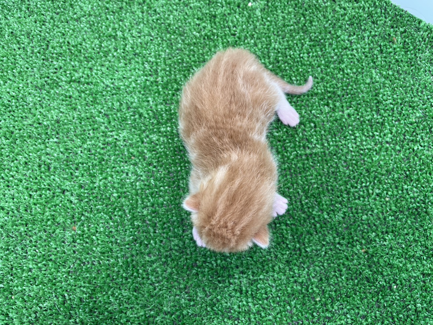 赤ちゃん写真1-3
