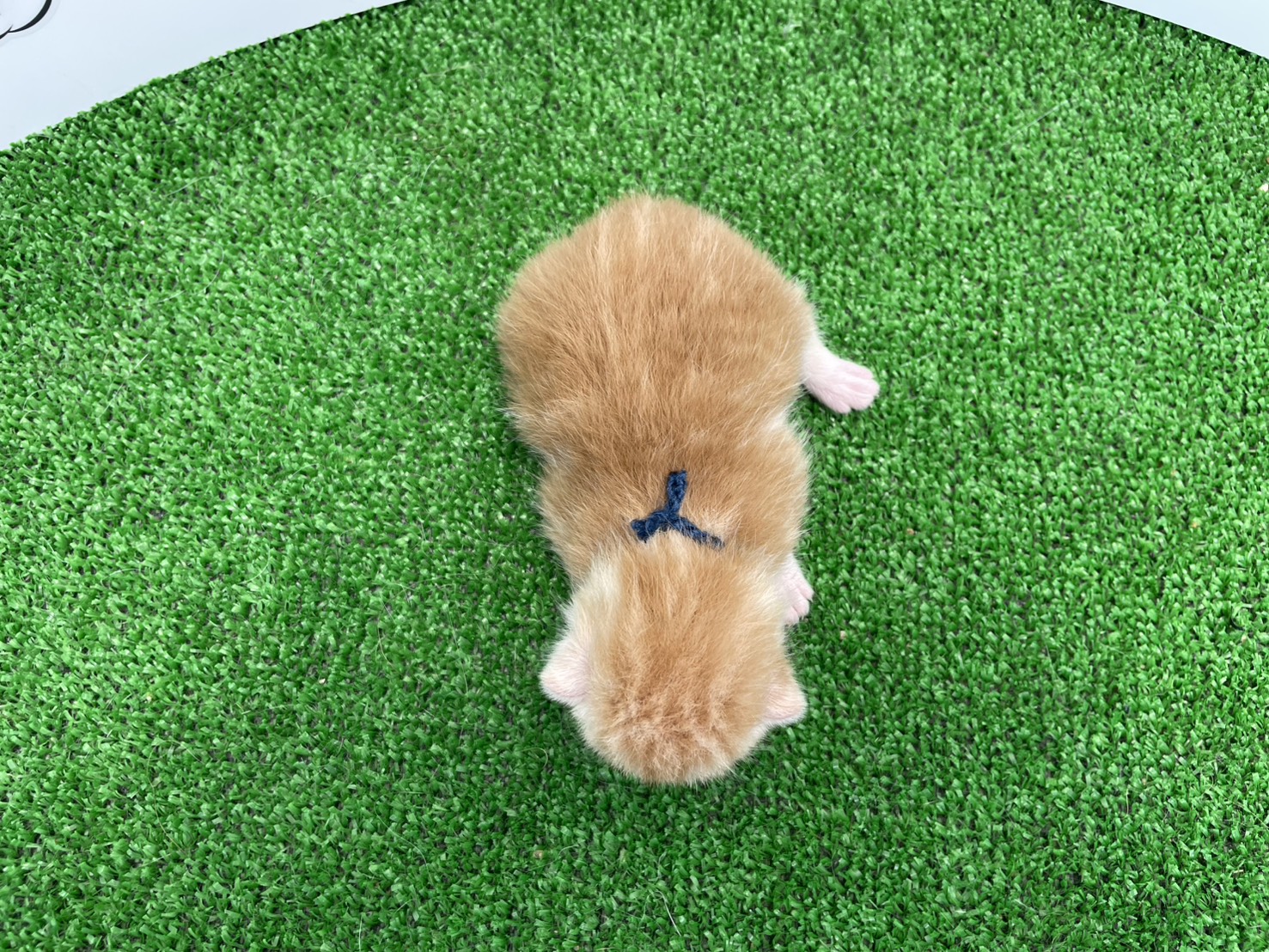 赤ちゃん写真1-3