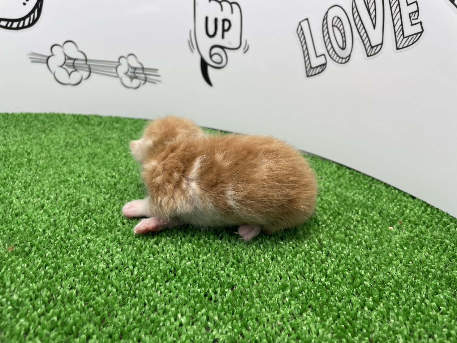 赤ちゃん写真1-2