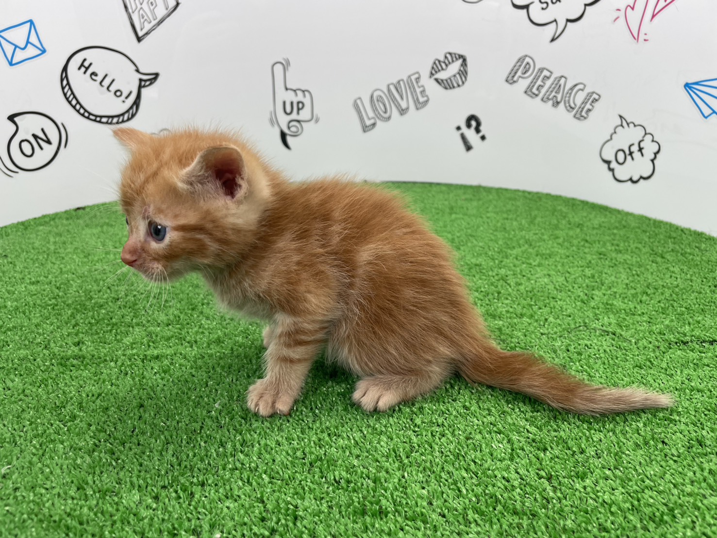 赤ちゃん写真2-2