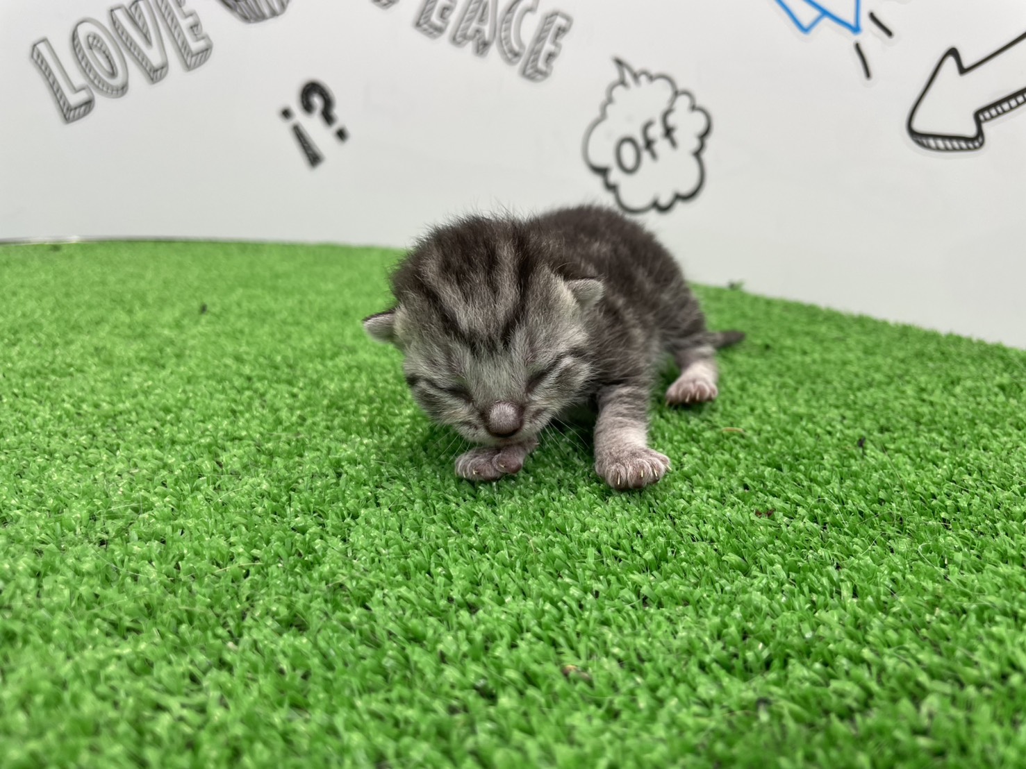 赤ちゃん写真1-1