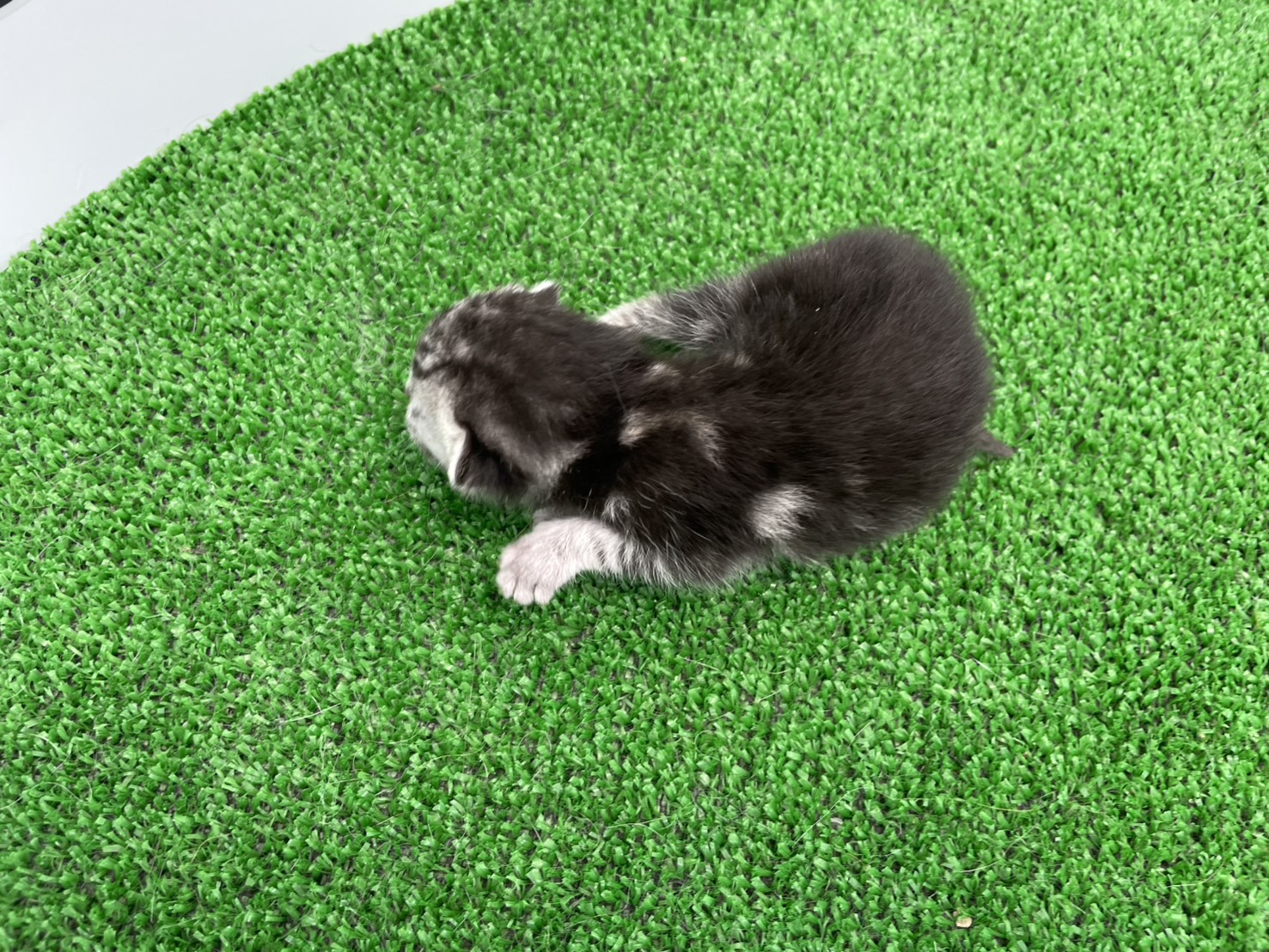 赤ちゃん写真1-3