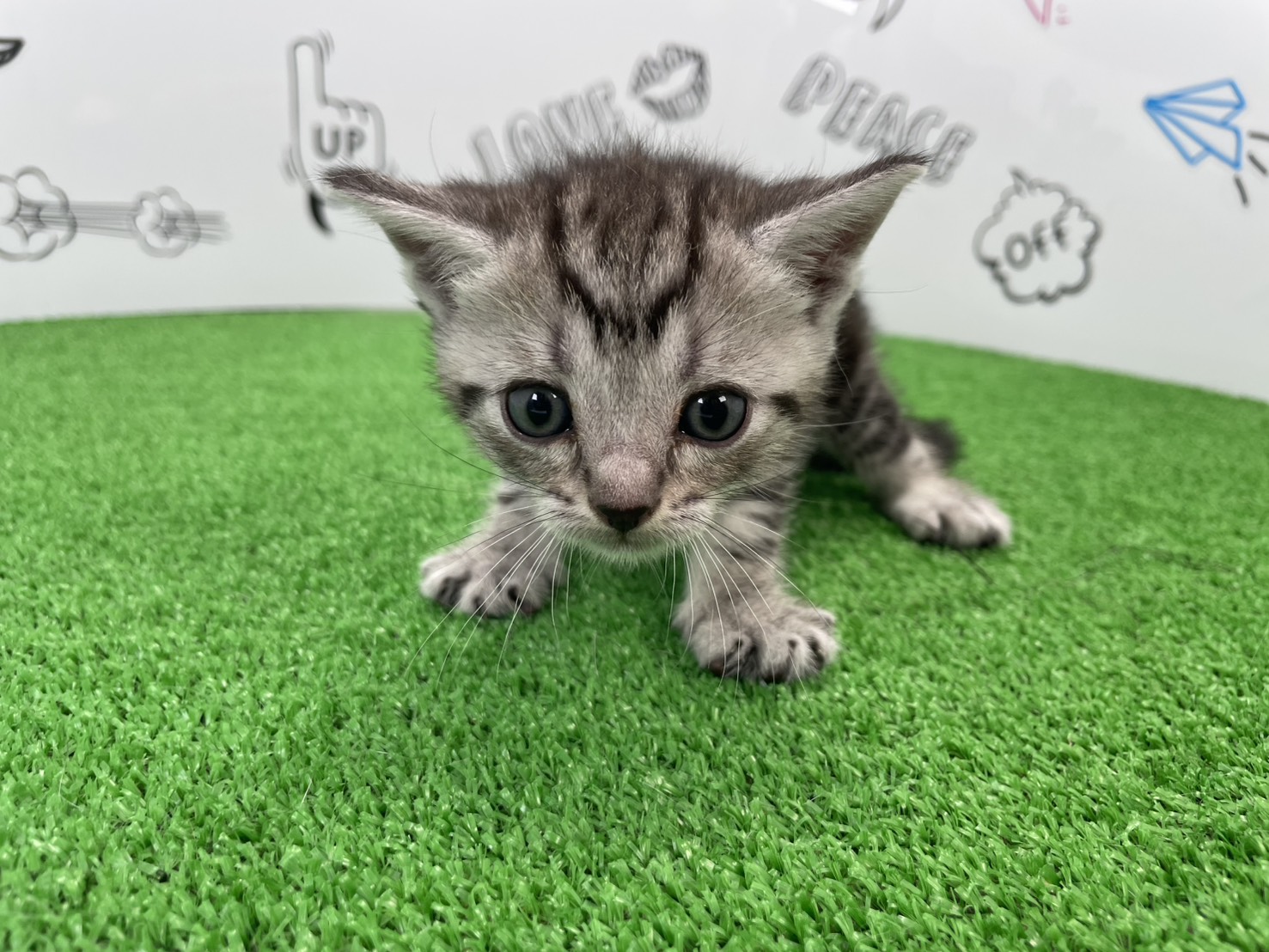 赤ちゃん写真2-1