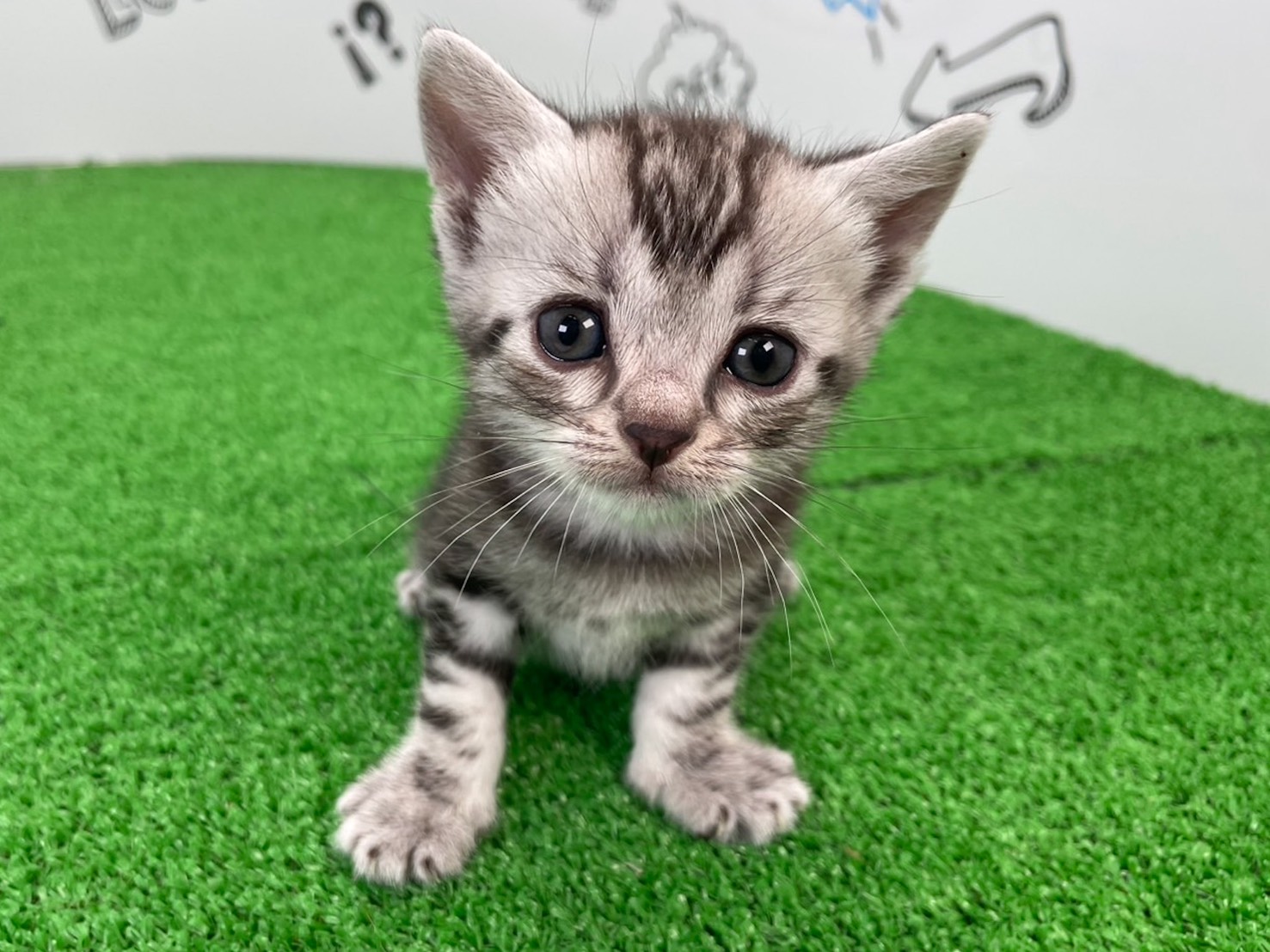 赤ちゃん写真2-1