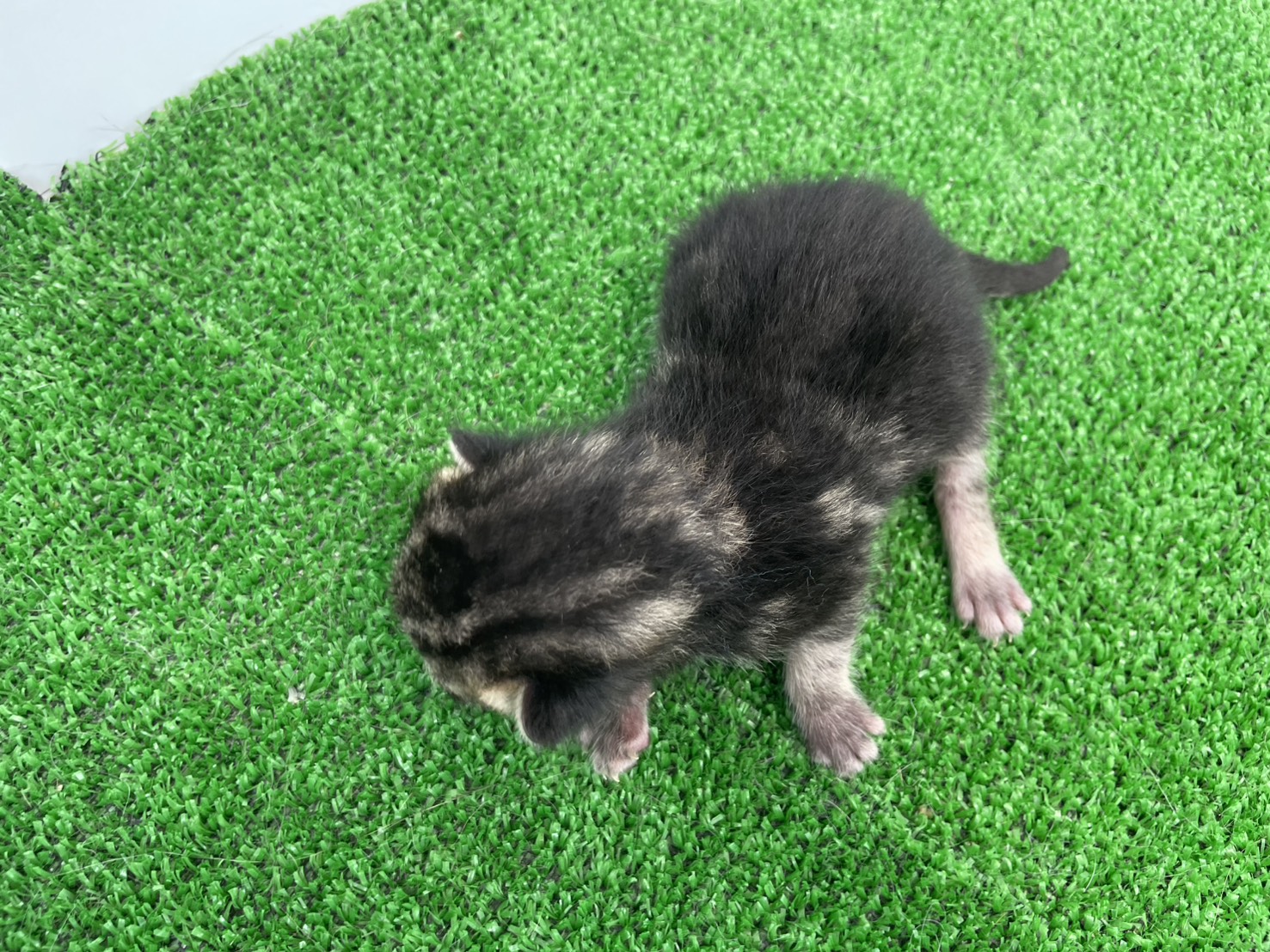 赤ちゃん写真1-3