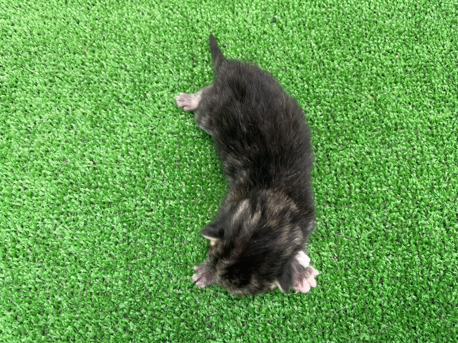赤ちゃん写真2-3