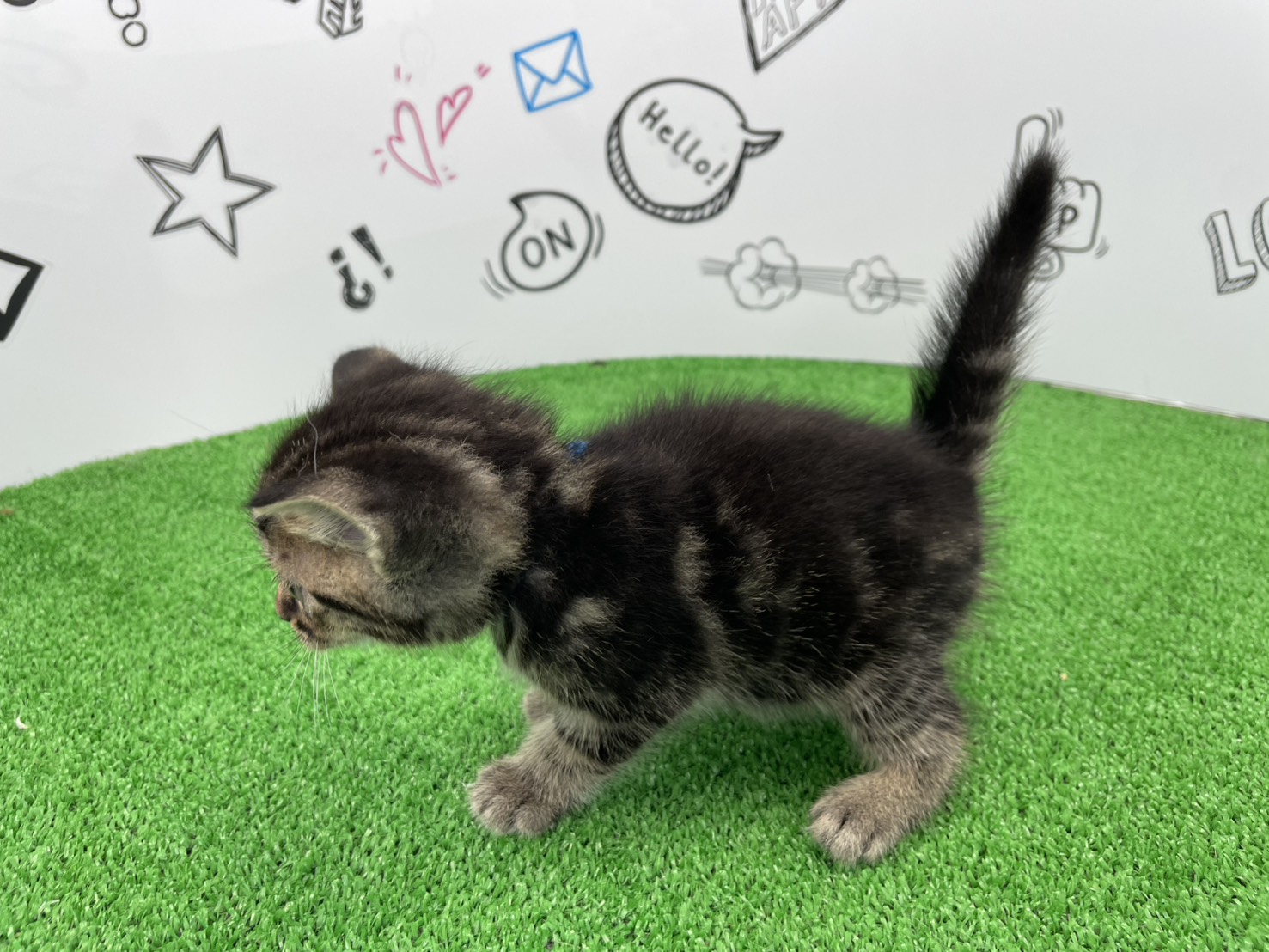 赤ちゃん写真2-2