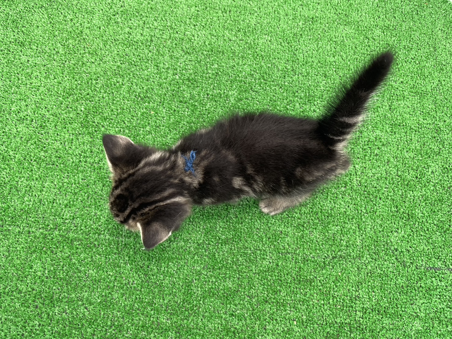 赤ちゃん写真2-3