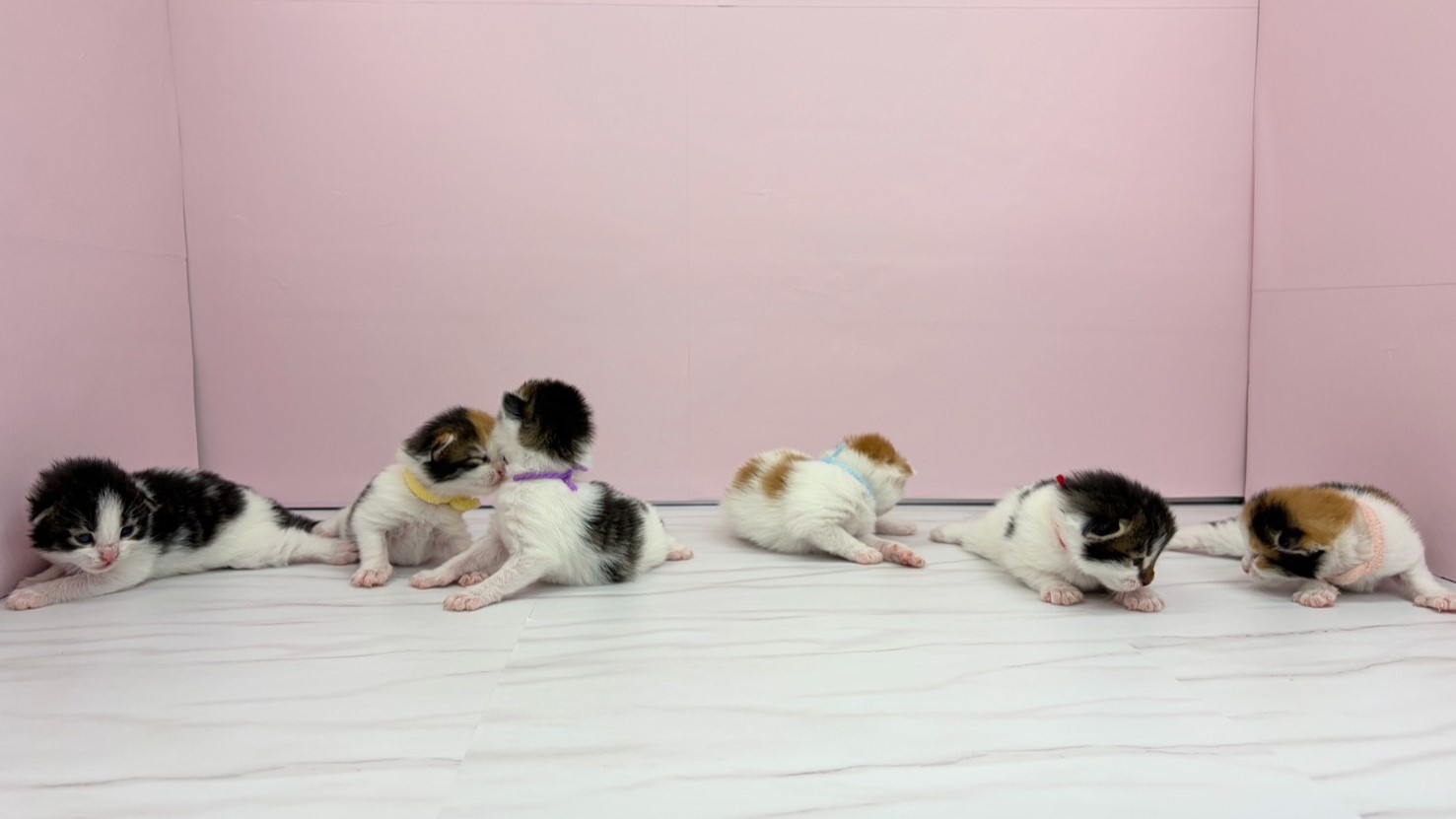 赤ちゃん写真1-3