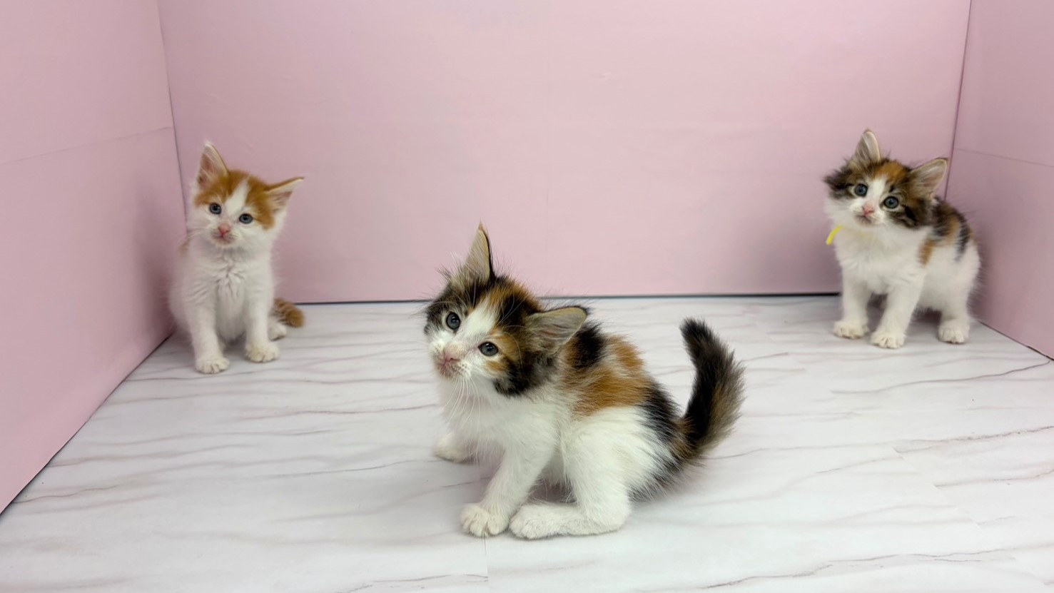 赤ちゃん写真2-3