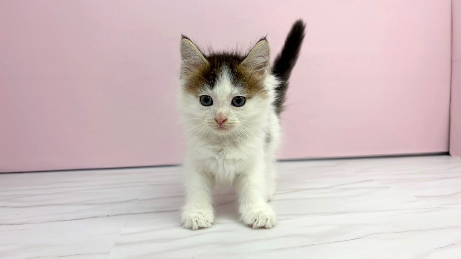 赤ちゃん写真2-1