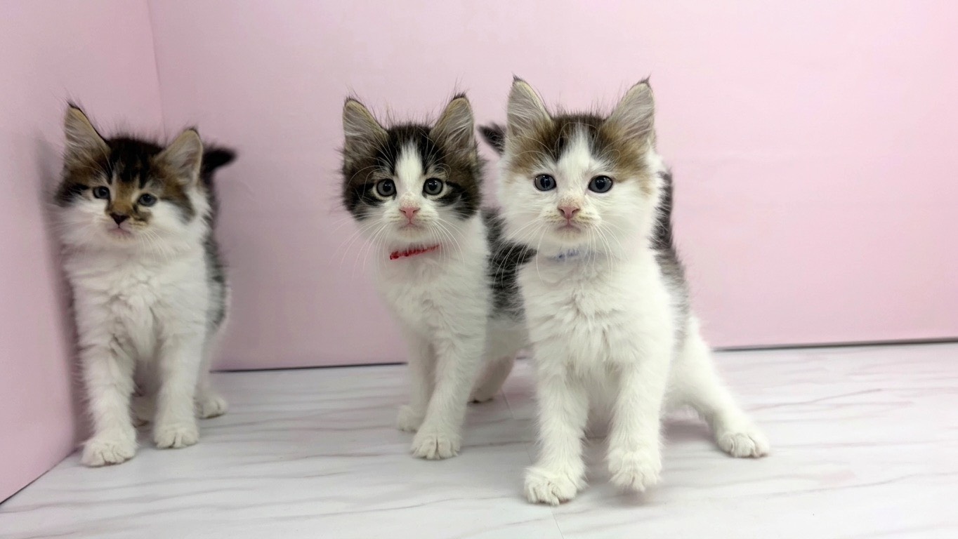 赤ちゃん写真2-3