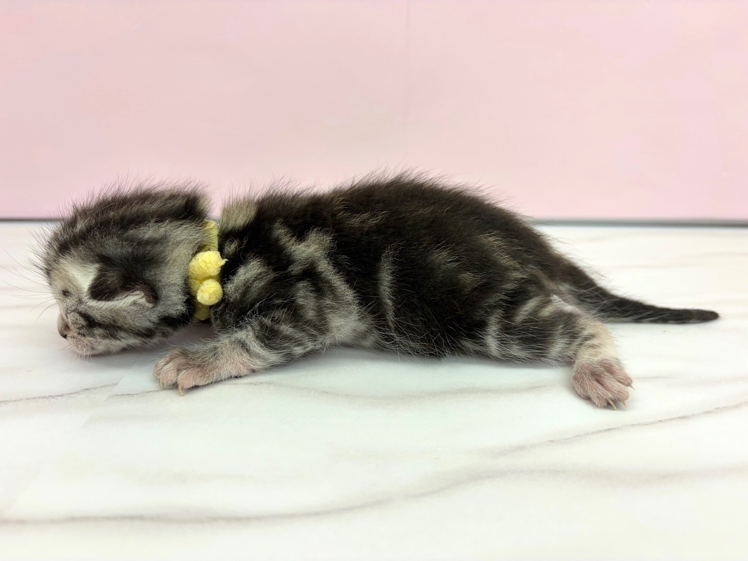 赤ちゃん写真1-2