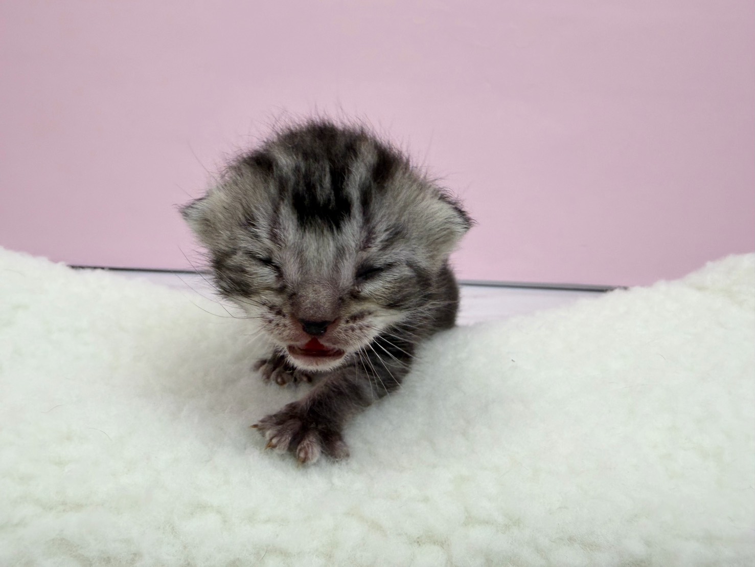赤ちゃん写真1-1