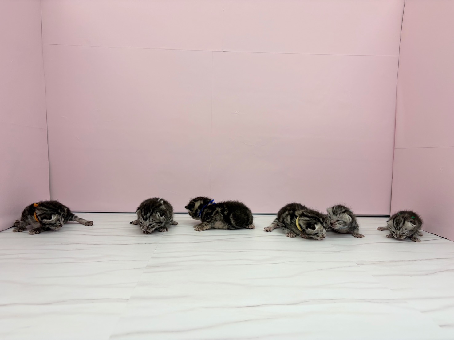 赤ちゃん写真1-3