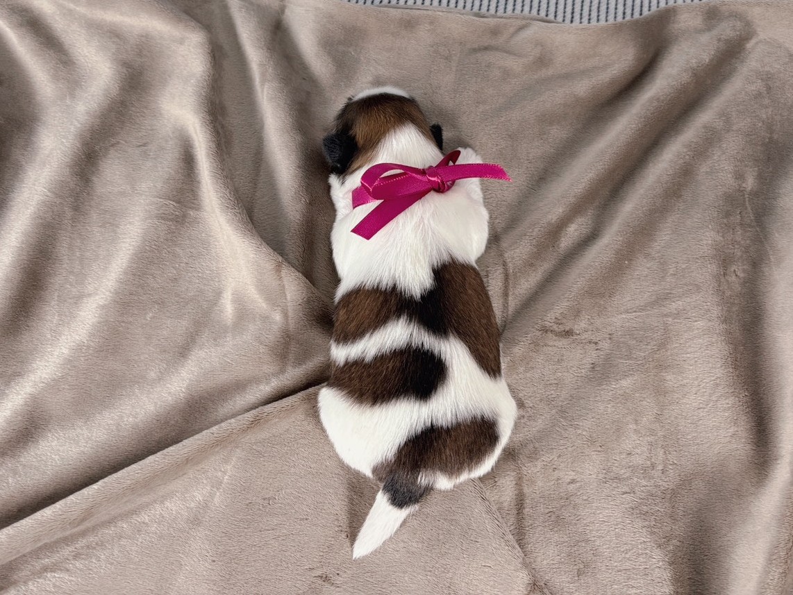 赤ちゃん写真1-3