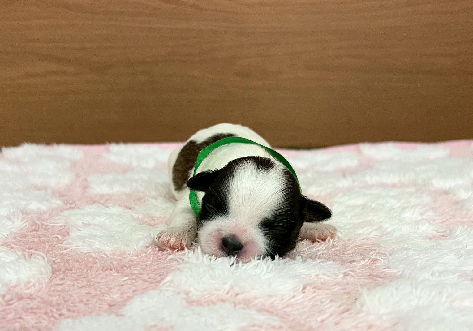 赤ちゃん写真1-1