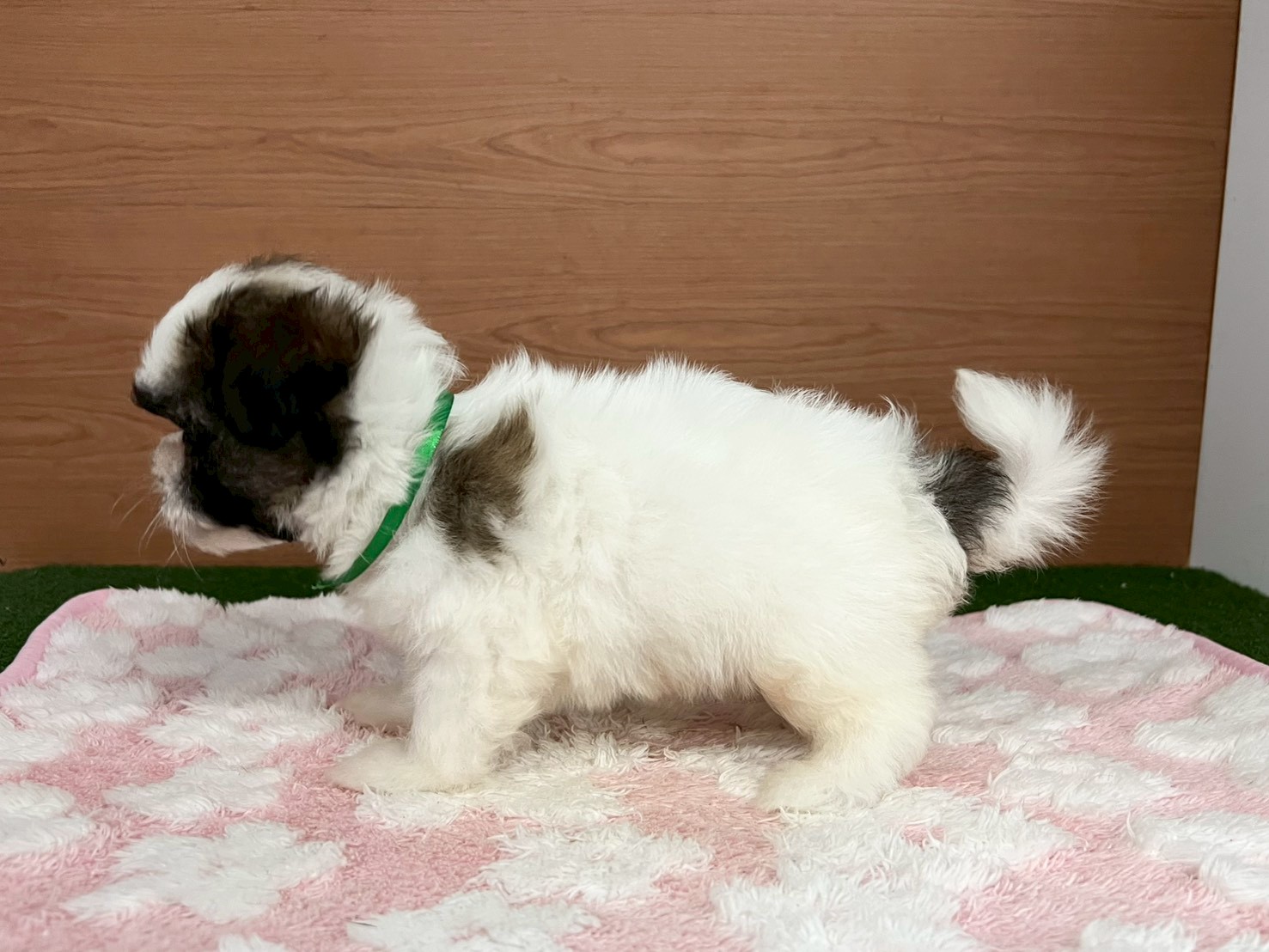 赤ちゃん写真3-2