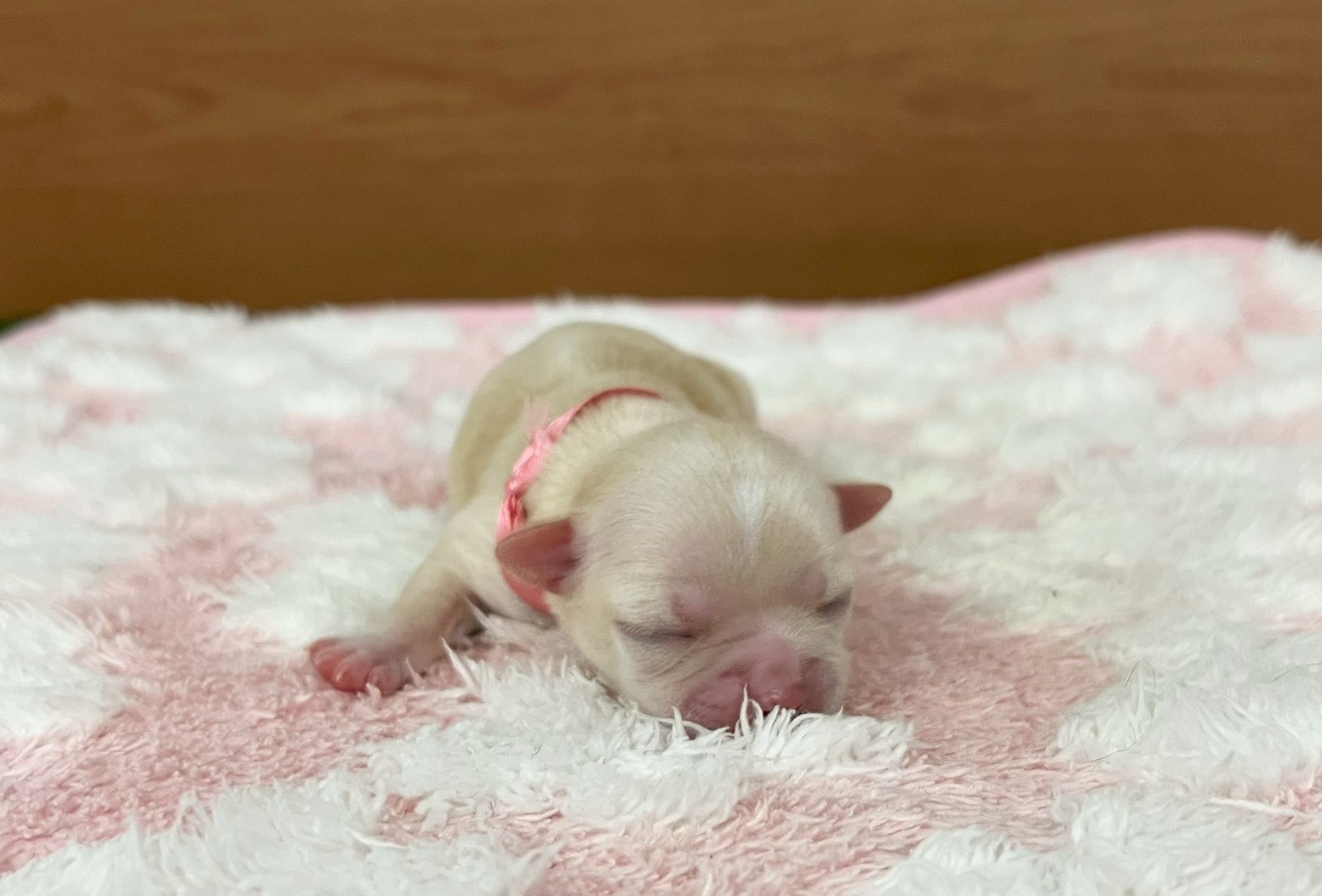 赤ちゃん写真1-1