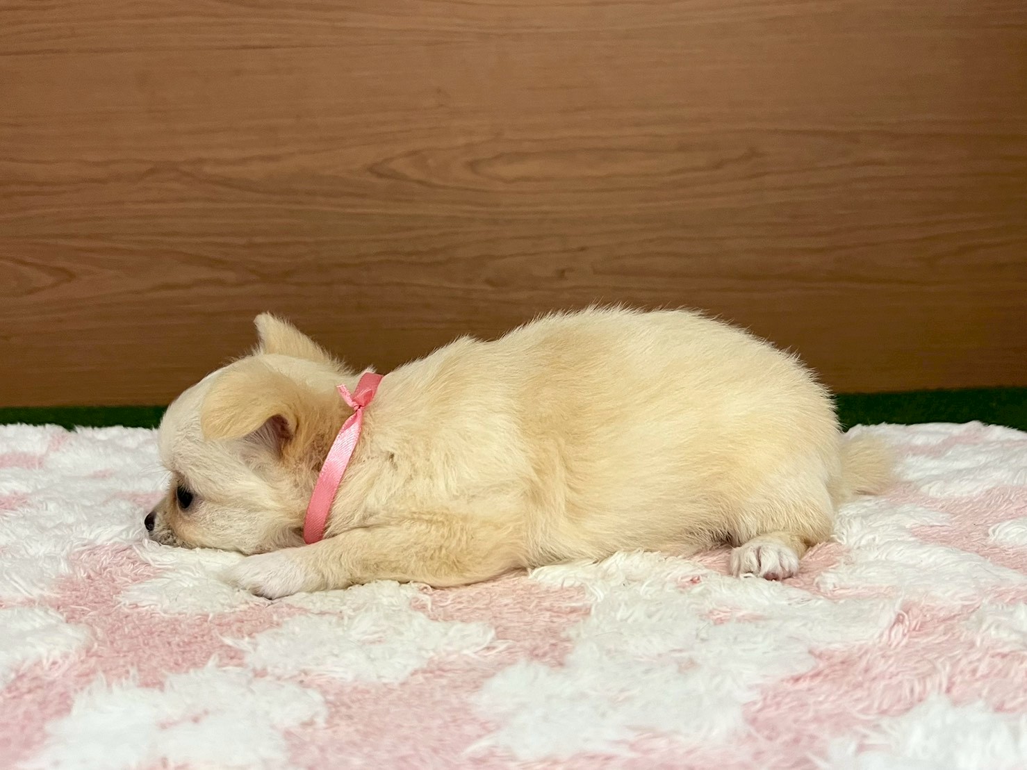 赤ちゃん写真3-2