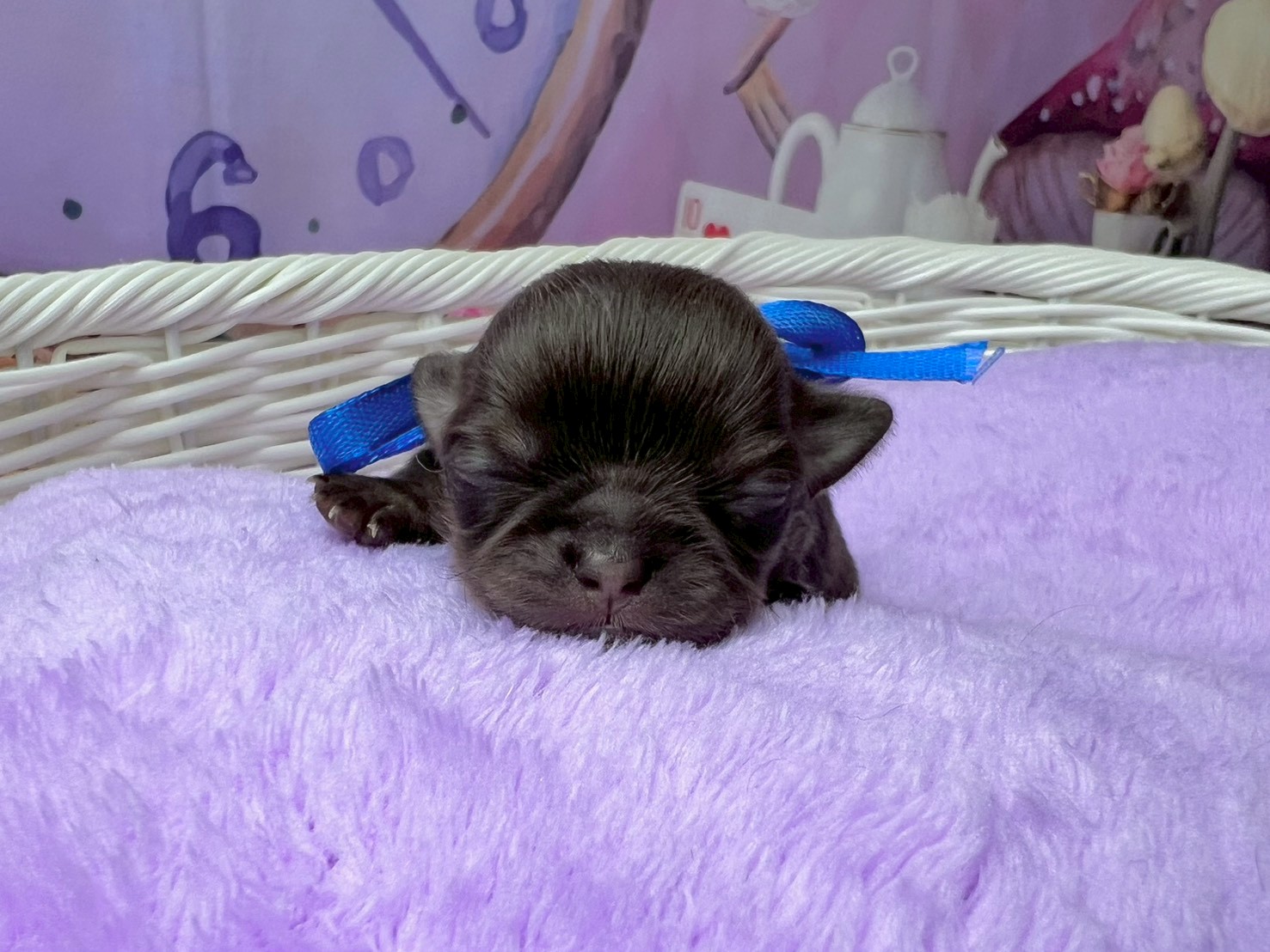 赤ちゃん写真1-1