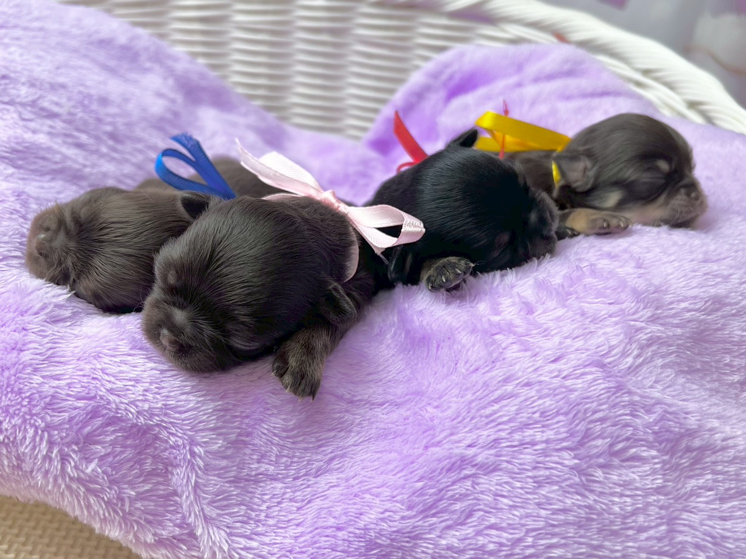 赤ちゃん写真1-3