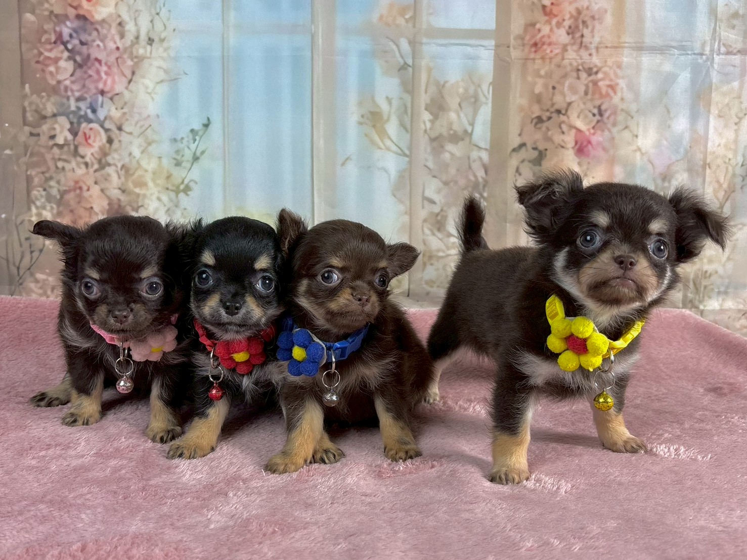 赤ちゃん写真3-3