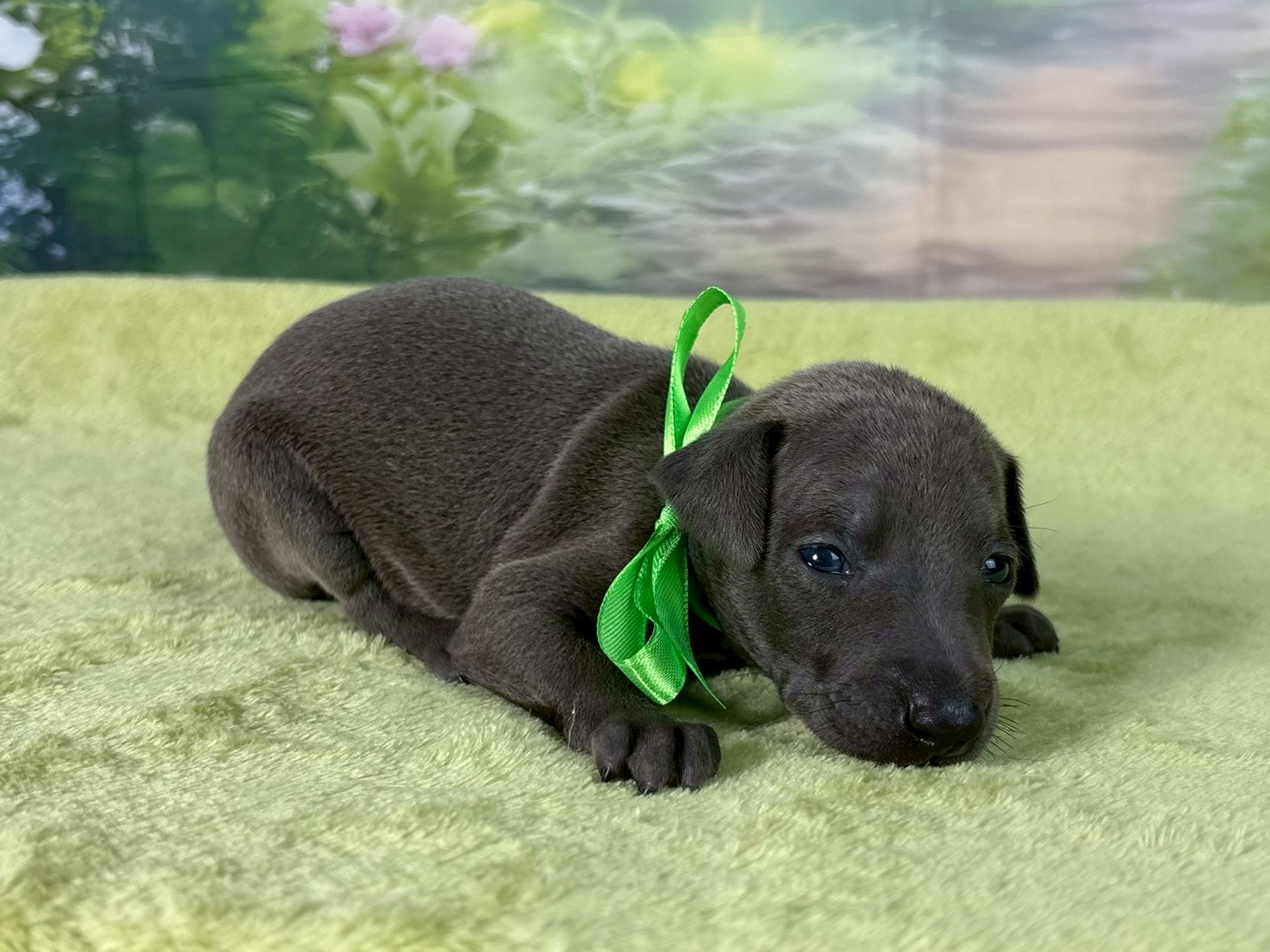 赤ちゃん写真2-2