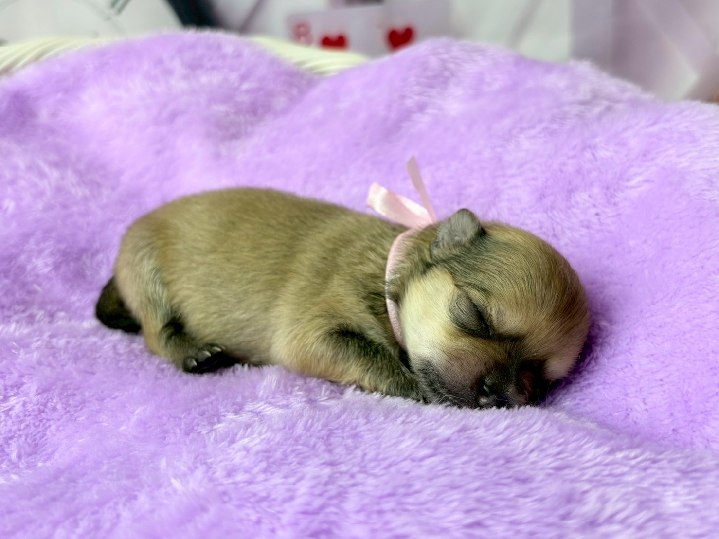 赤ちゃん写真1-2