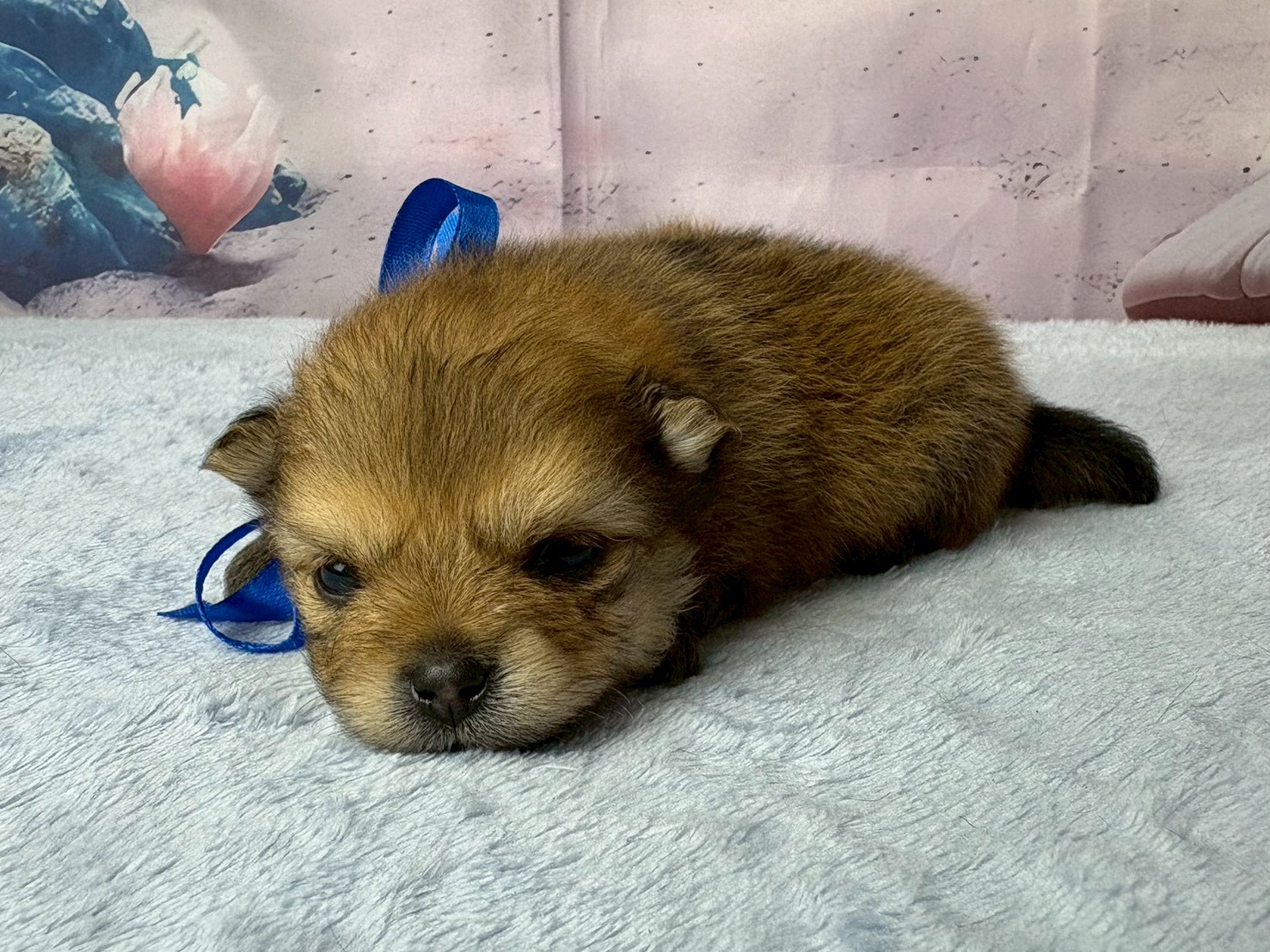 赤ちゃん写真2-2