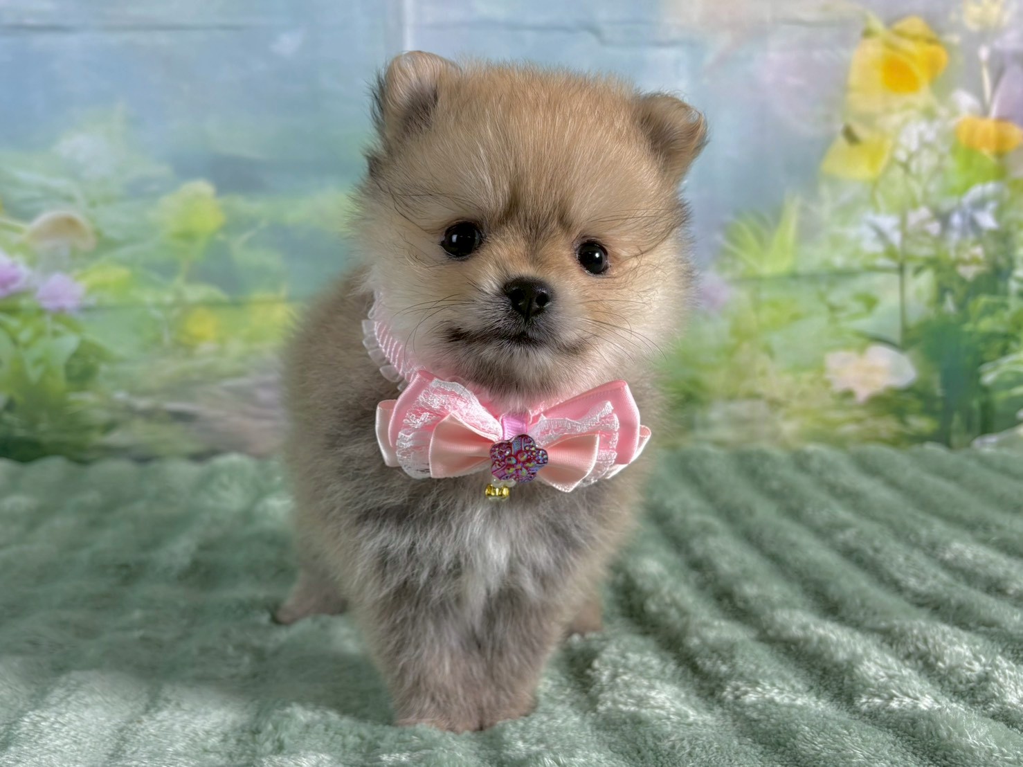 赤ちゃん写真3-1