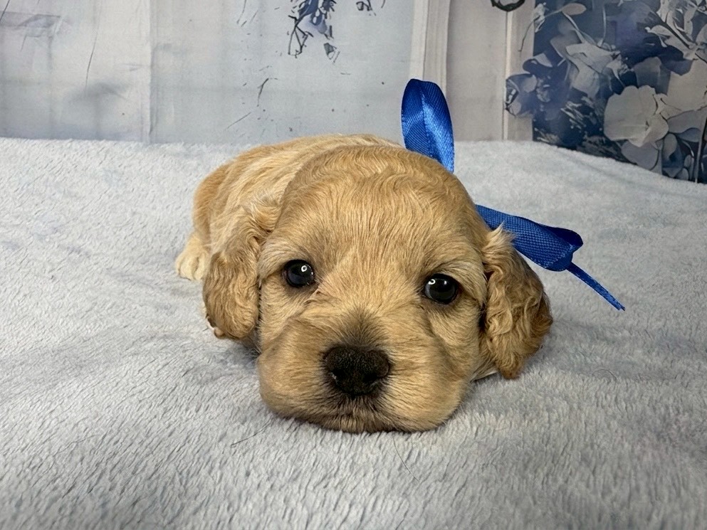 赤ちゃん写真2-1