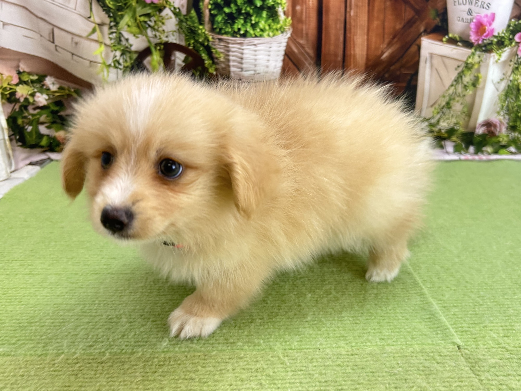 赤ちゃん写真3-2