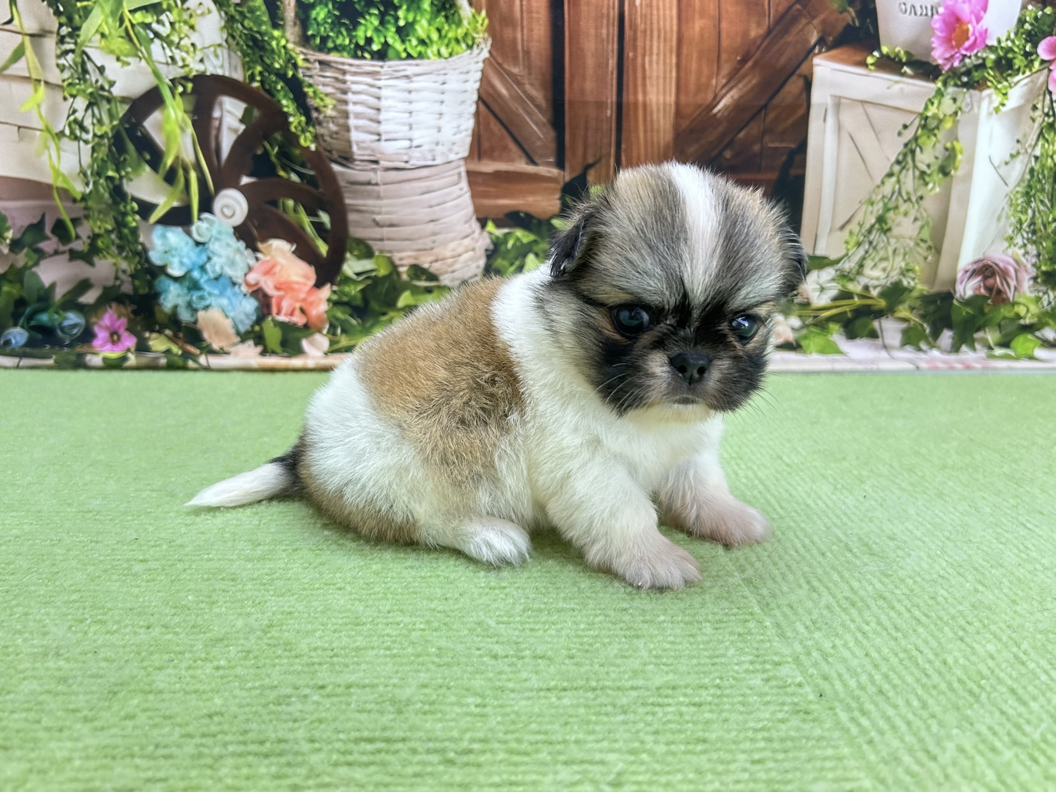 赤ちゃん写真2-3