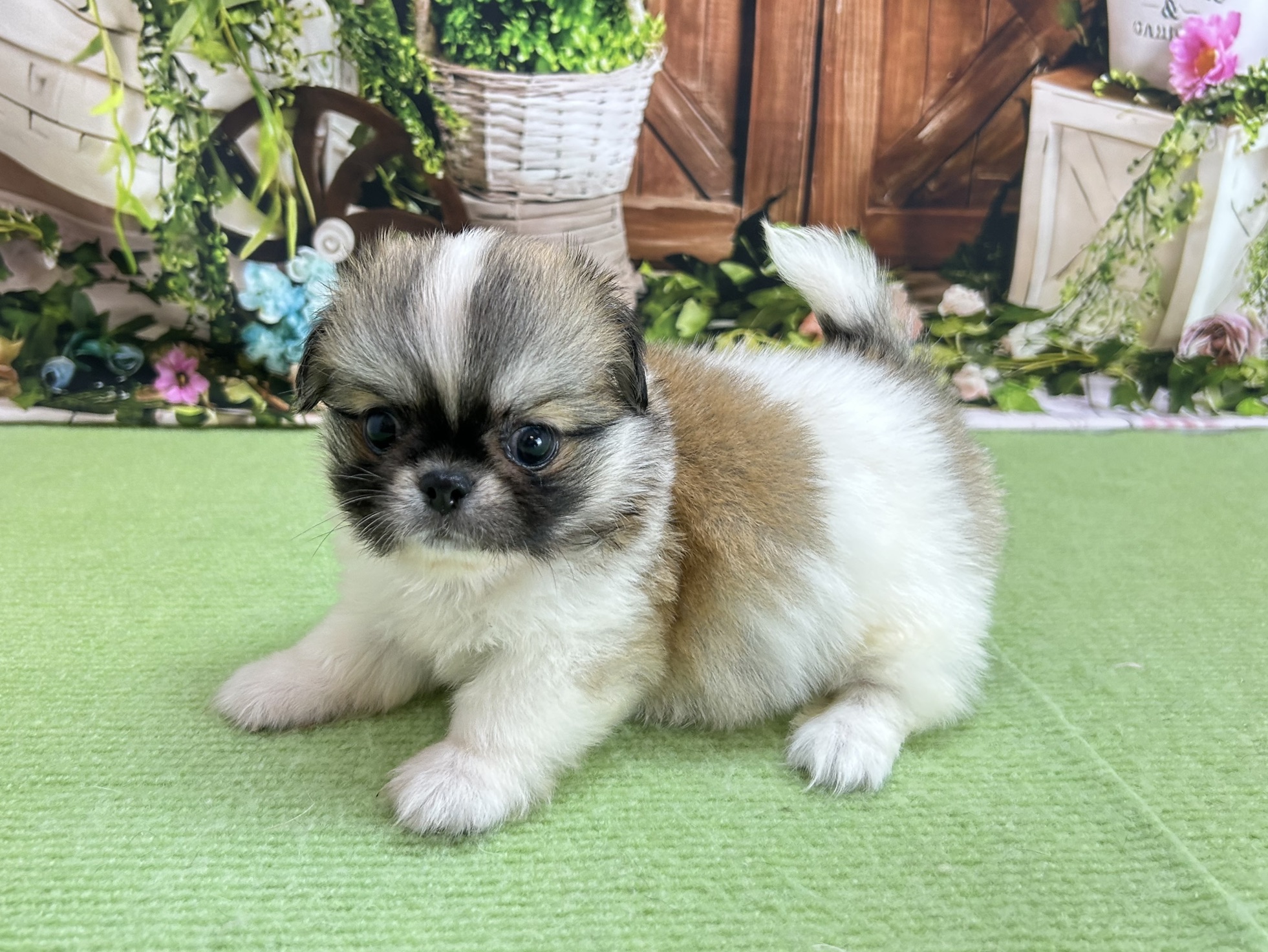 赤ちゃん写真3-3