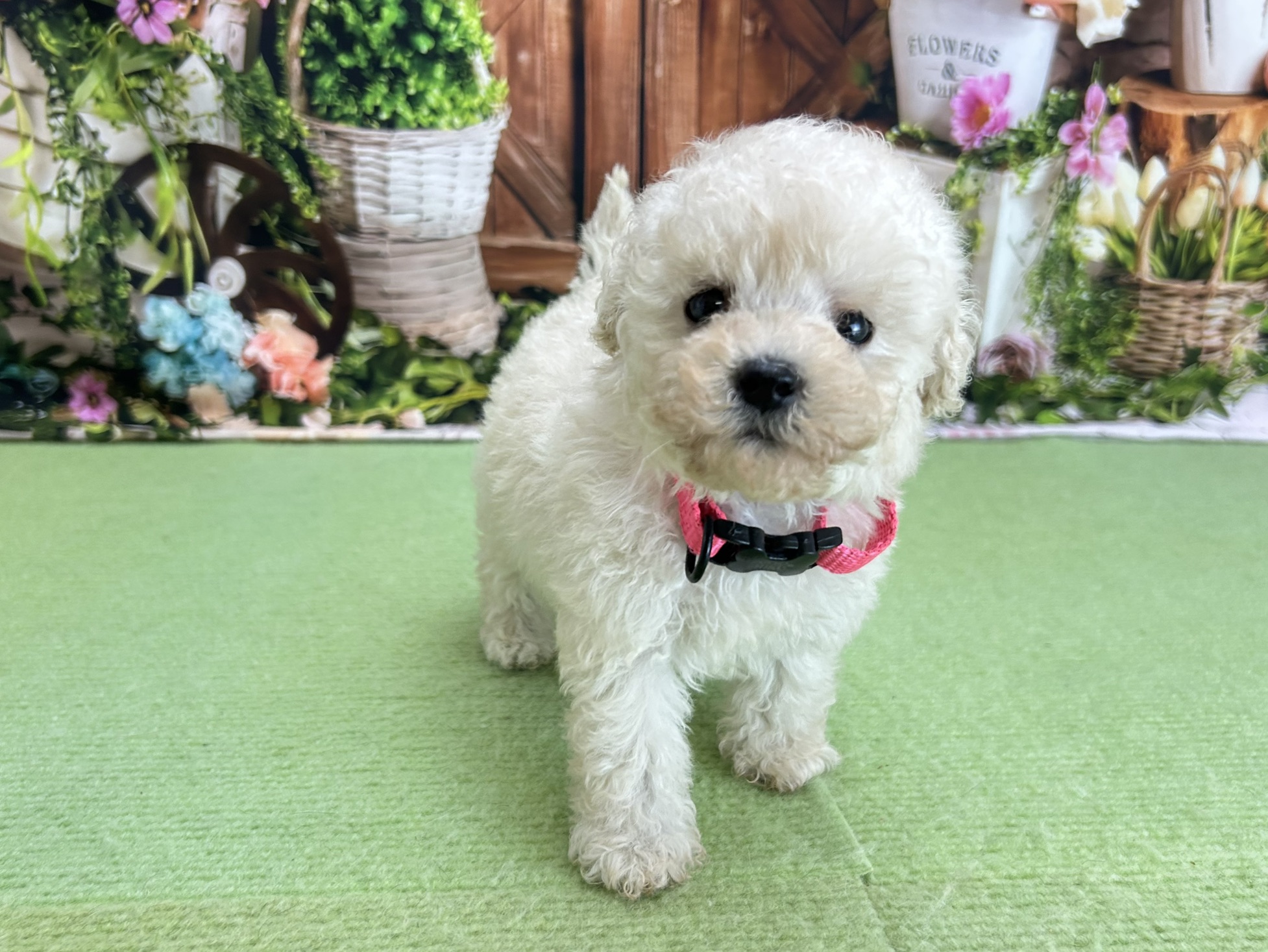 赤ちゃん写真3-1