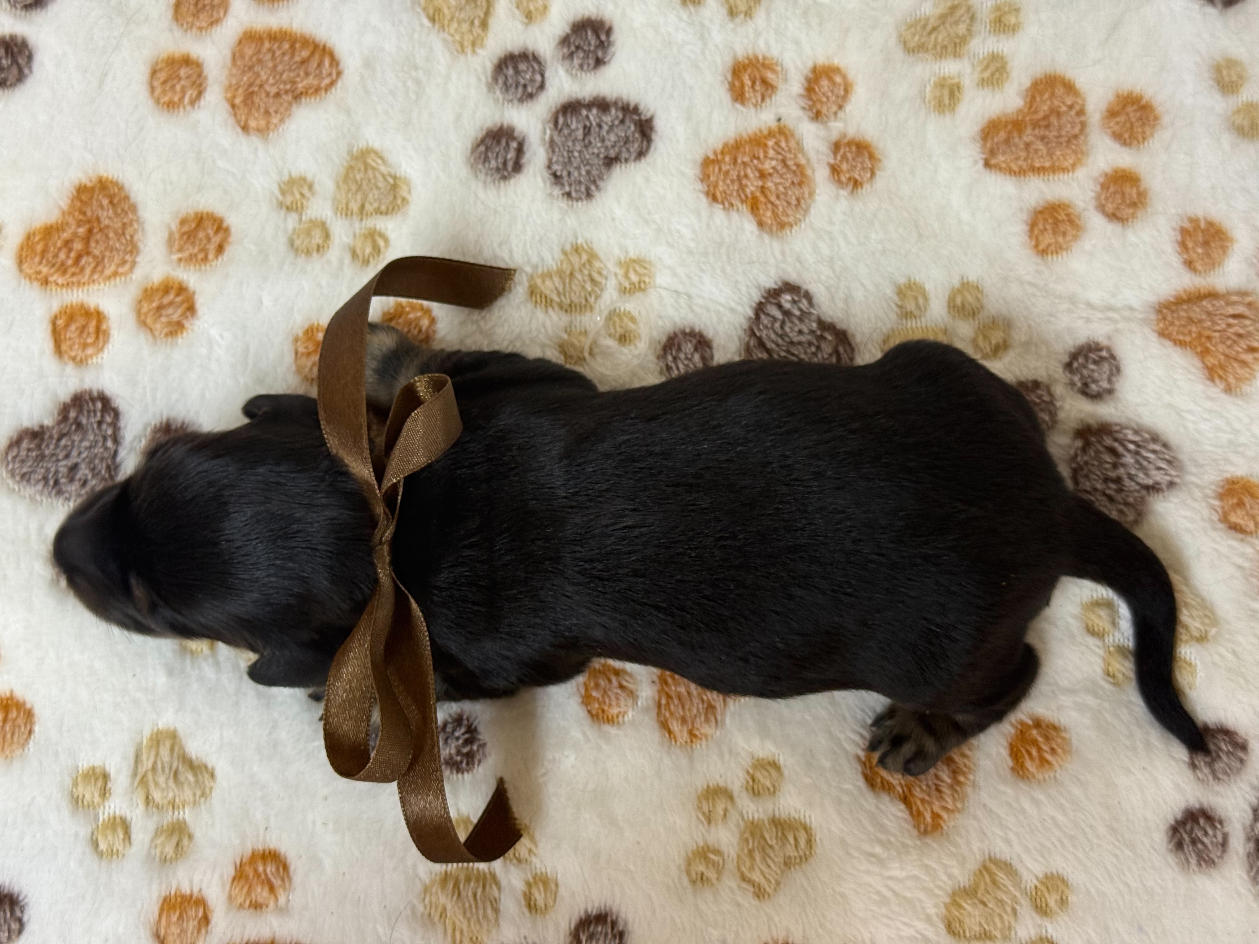 赤ちゃん写真1-3