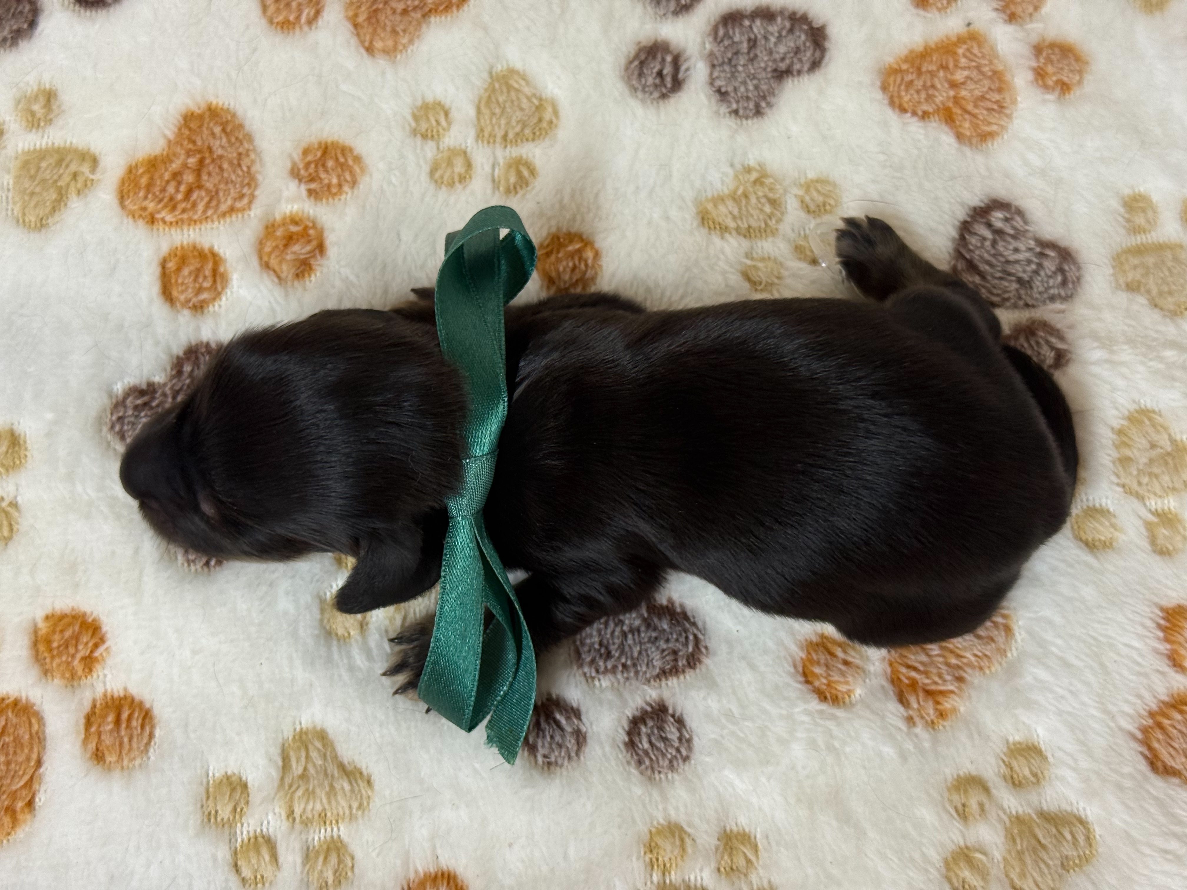赤ちゃん写真1-3