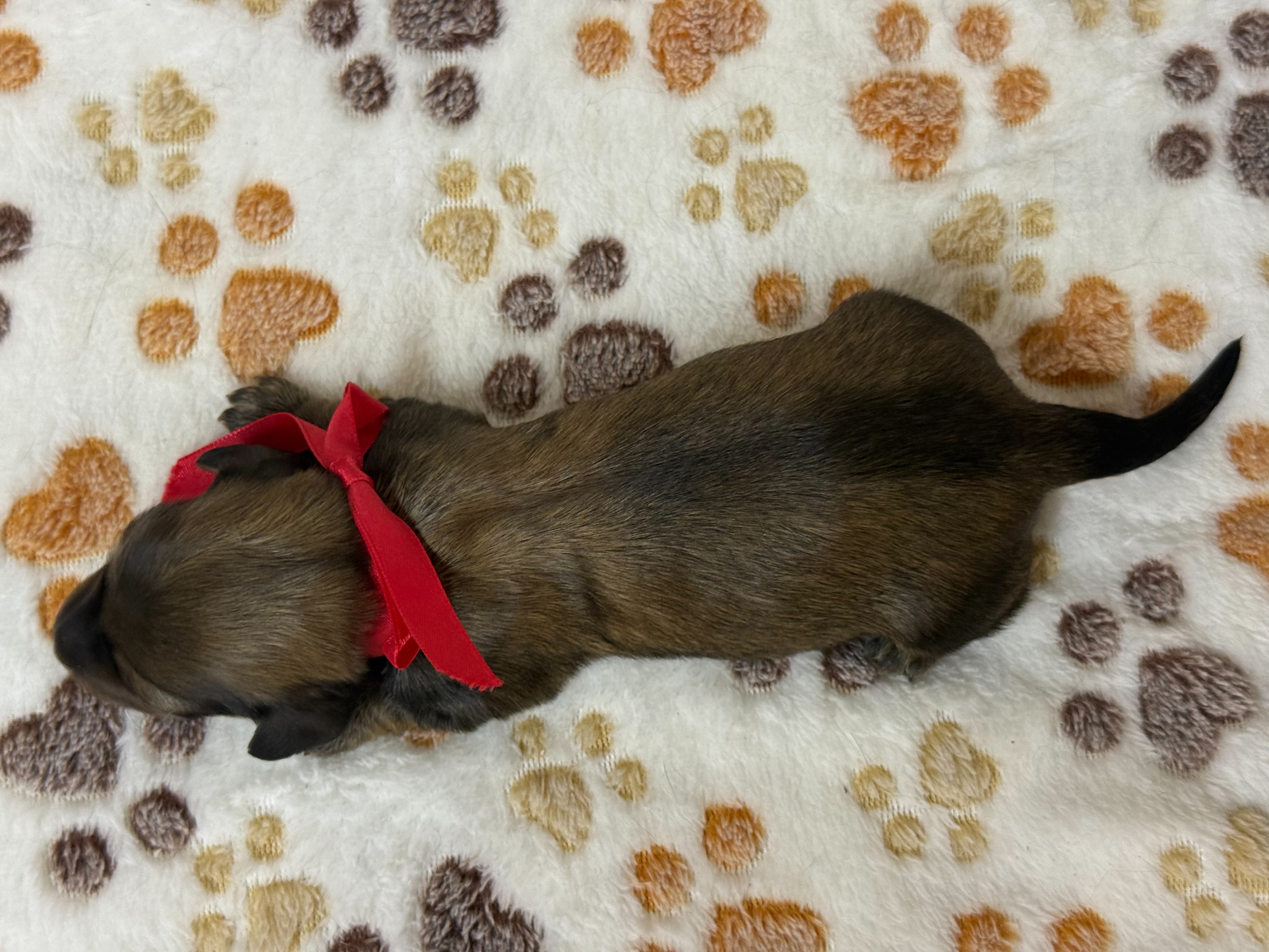 赤ちゃん写真1-3