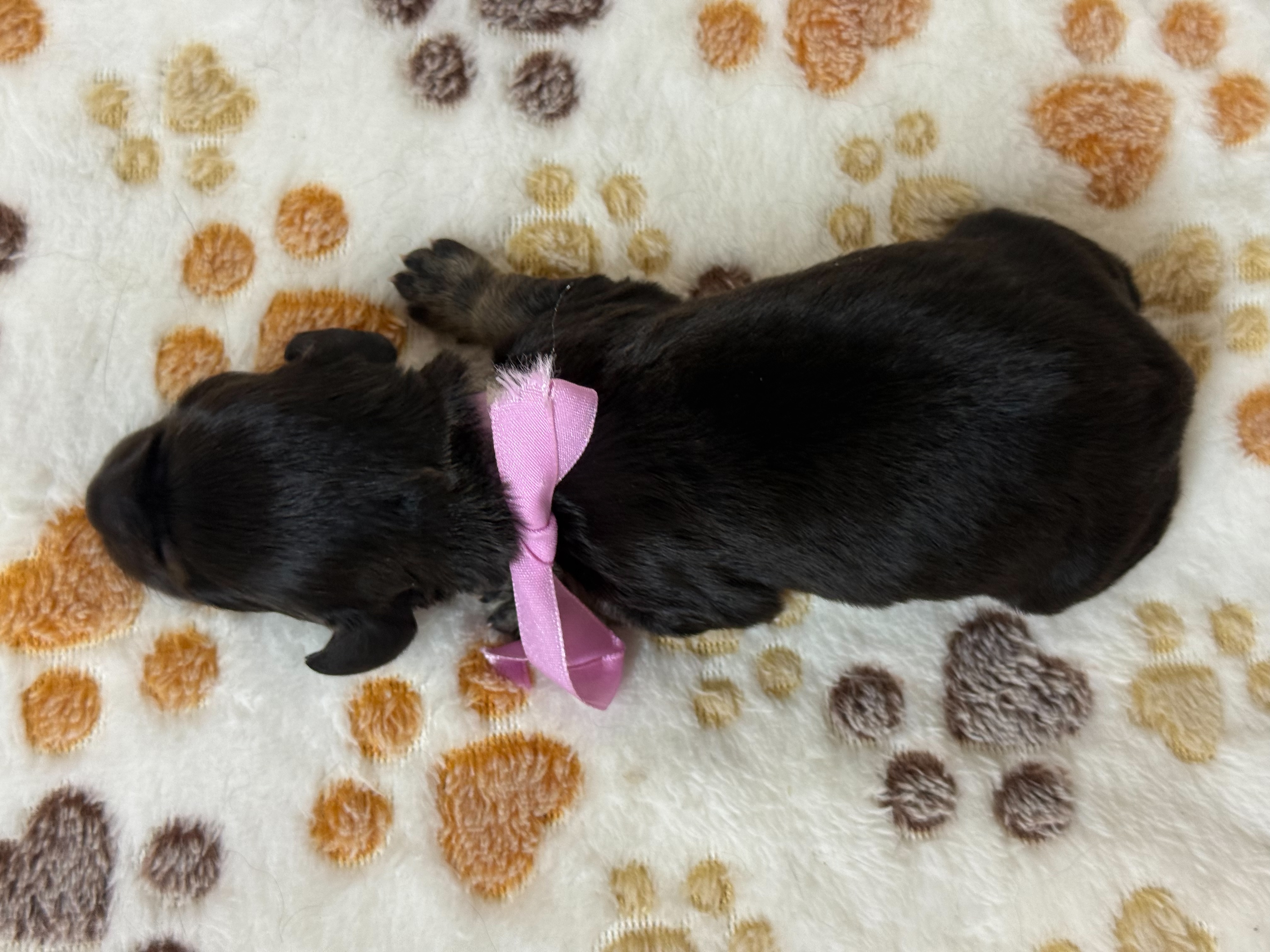 赤ちゃん写真1-3