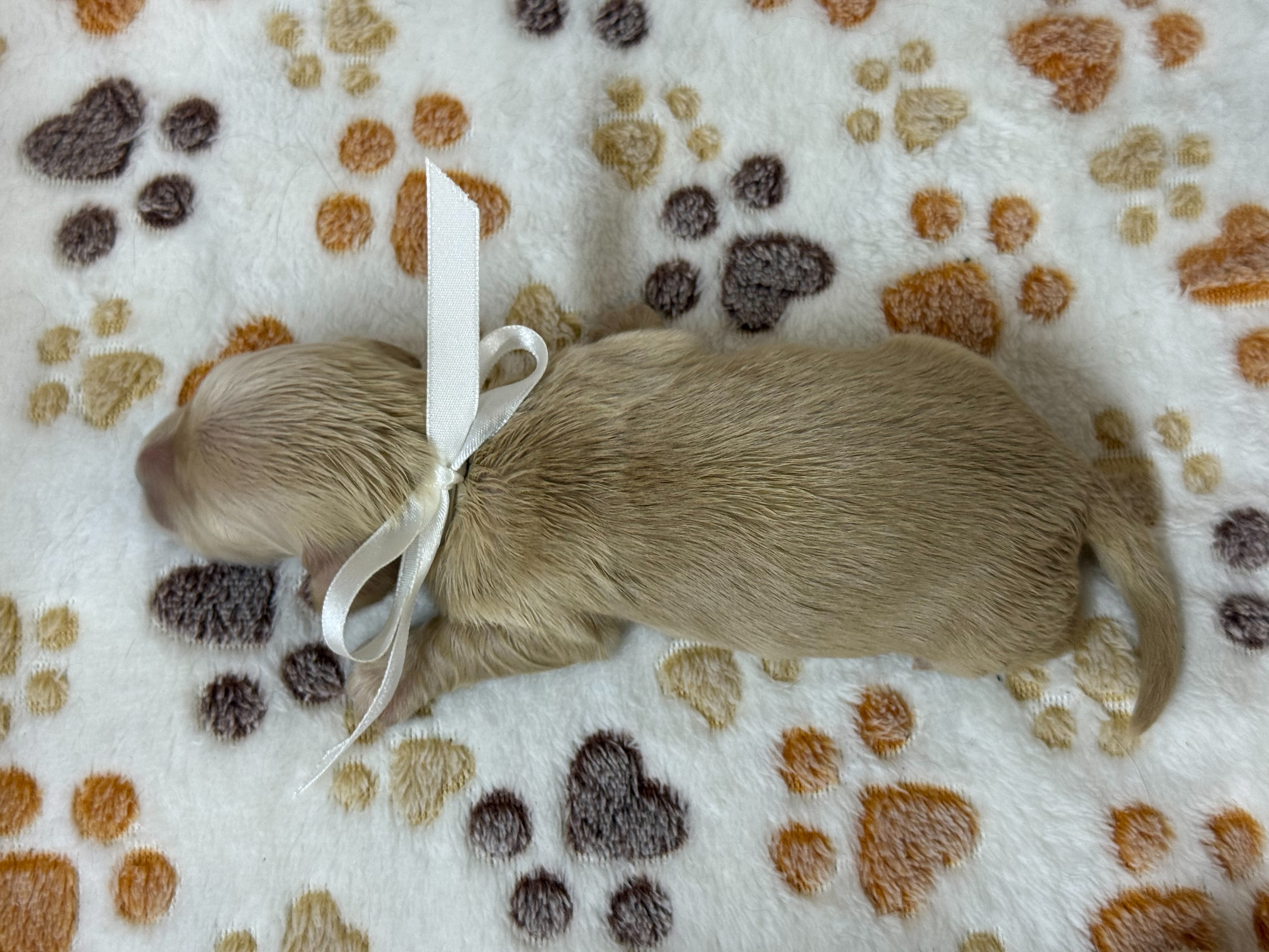 赤ちゃん写真1-3