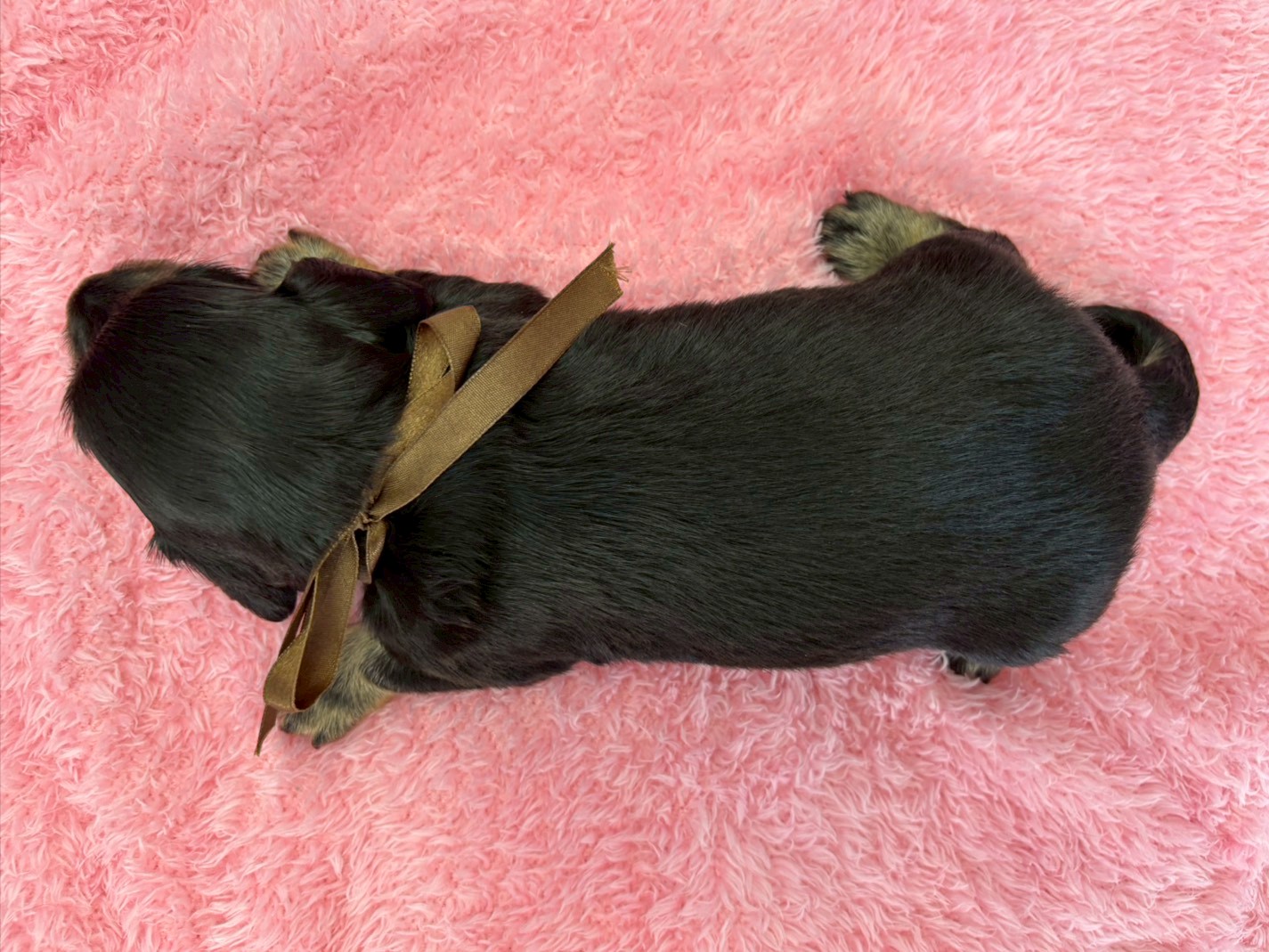赤ちゃん写真2-3