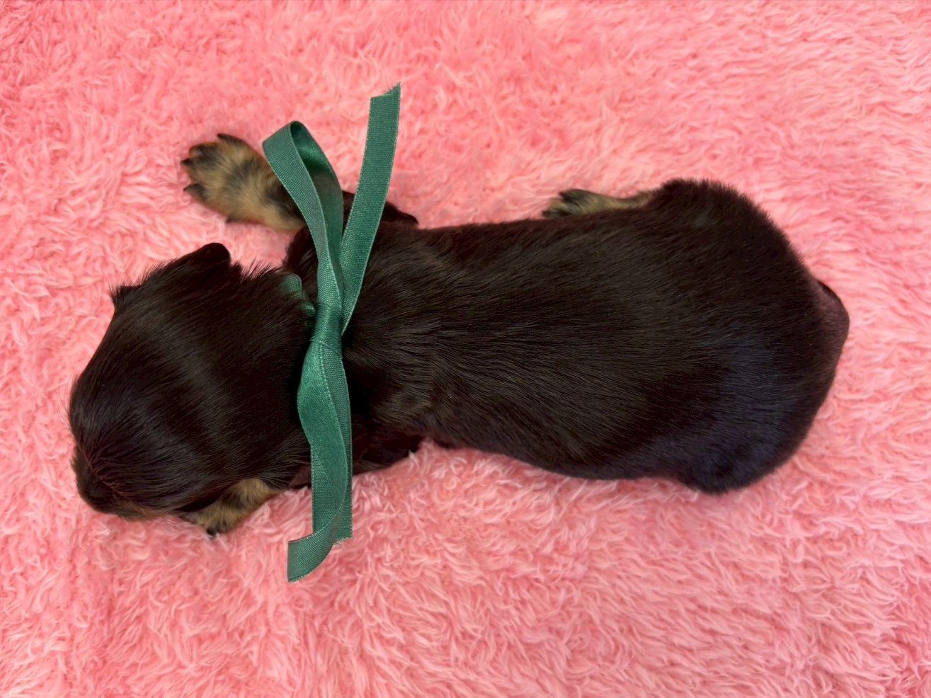 赤ちゃん写真2-3
