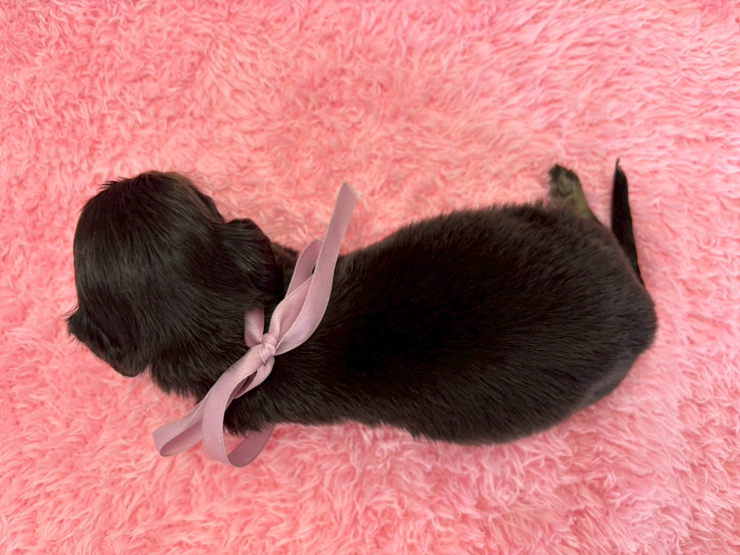 赤ちゃん写真2-3