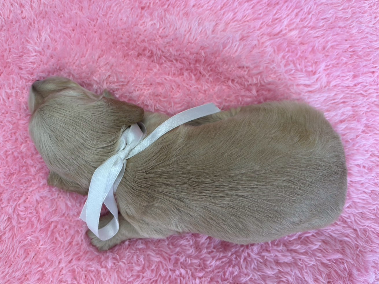 赤ちゃん写真2-3