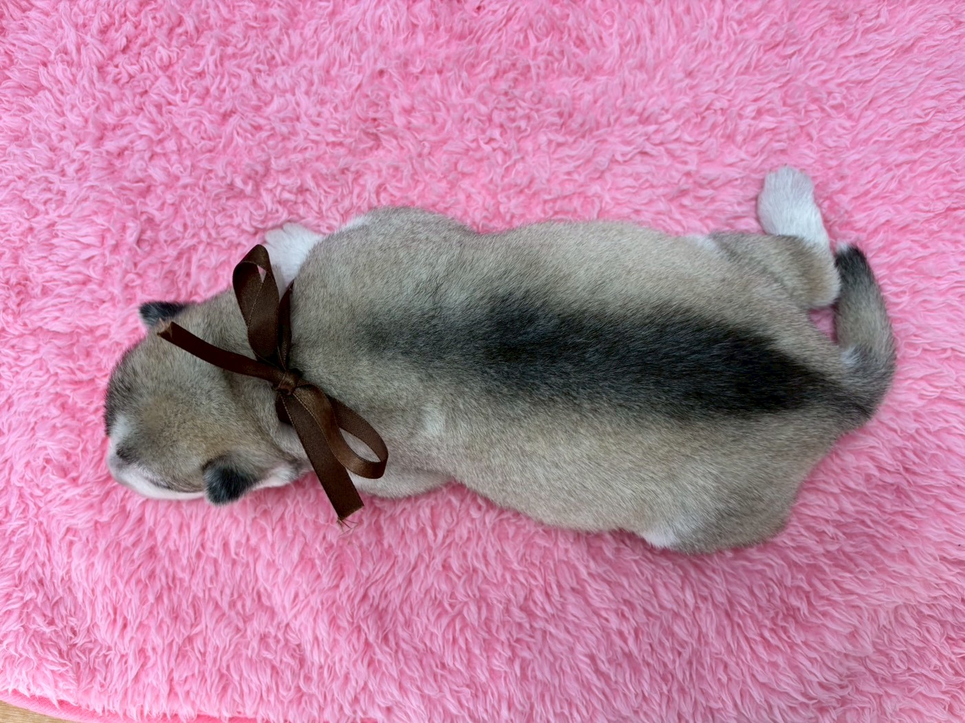 赤ちゃん写真1-3