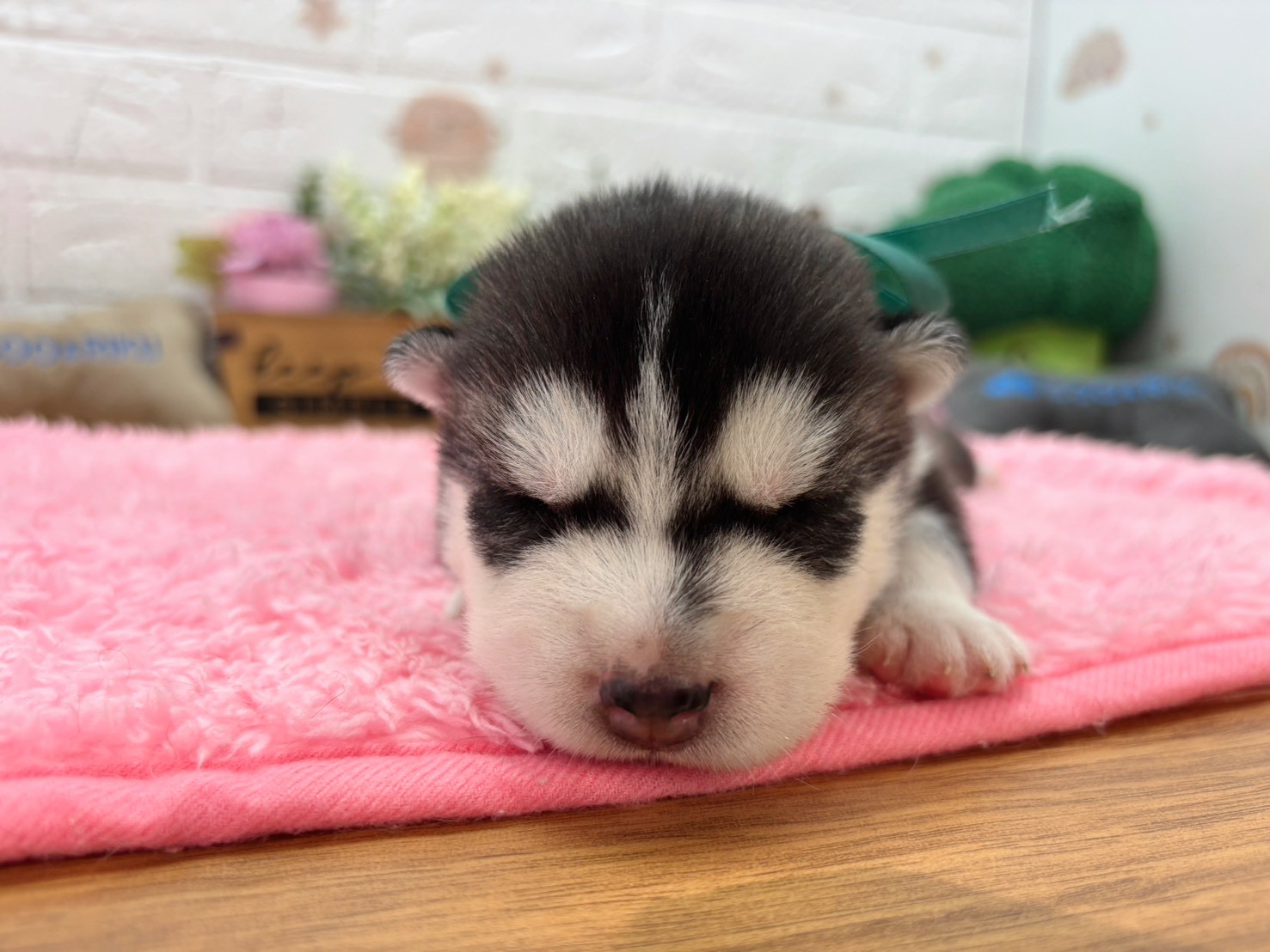 赤ちゃん写真1-1