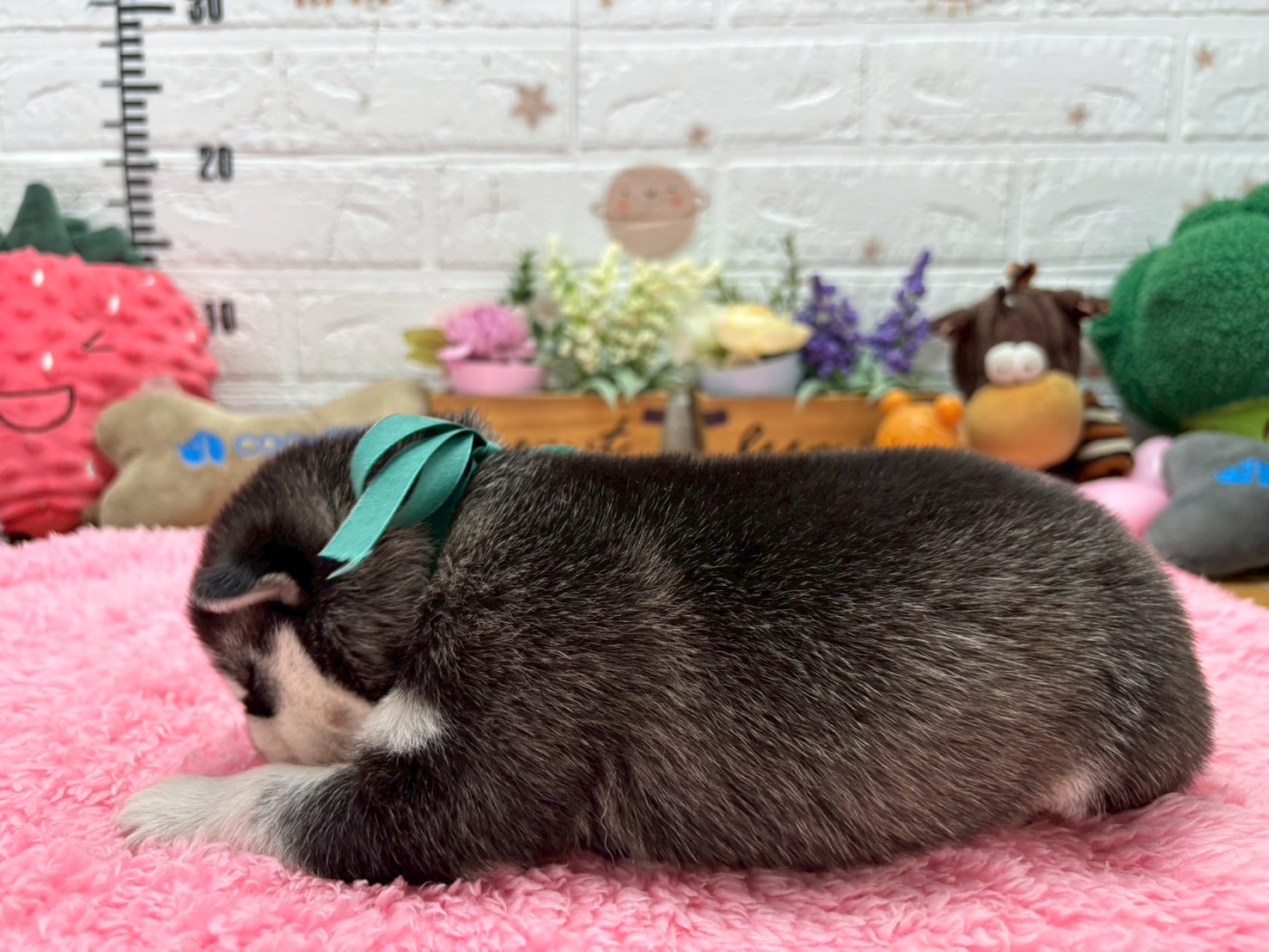 赤ちゃん写真1-2