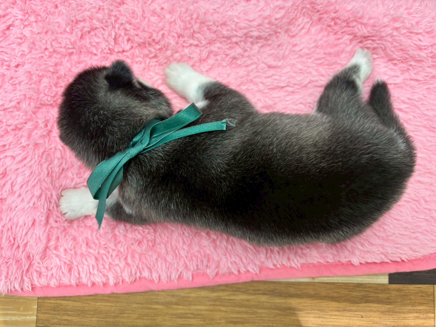 赤ちゃん写真1-3
